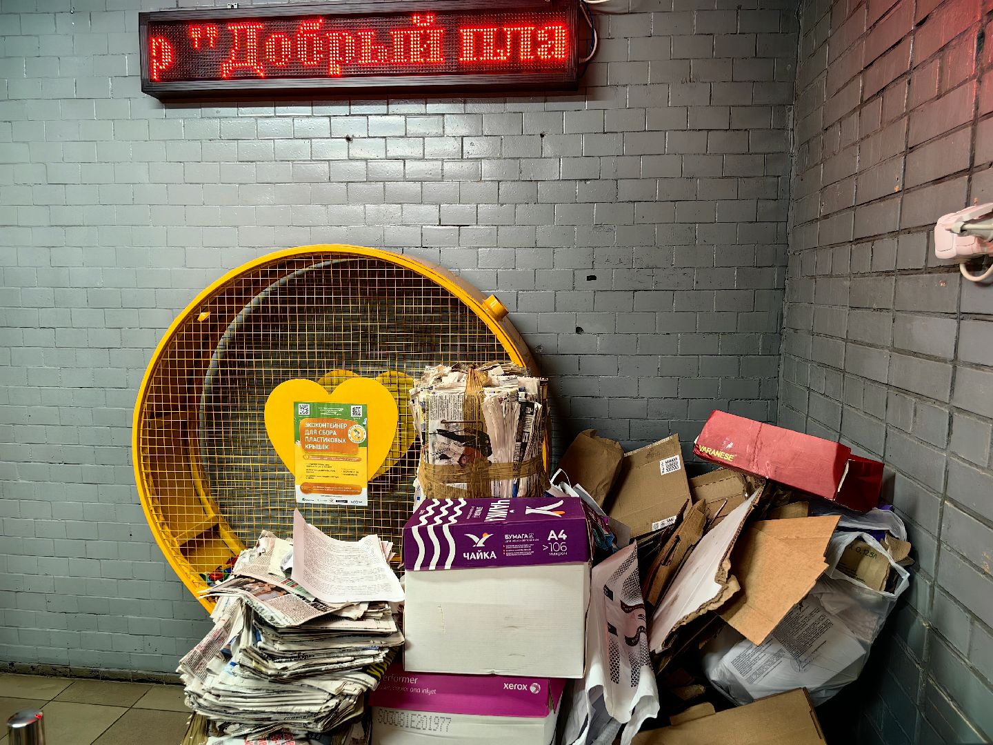 макулатура, сбор, акция, экология, СВО, библиотека,