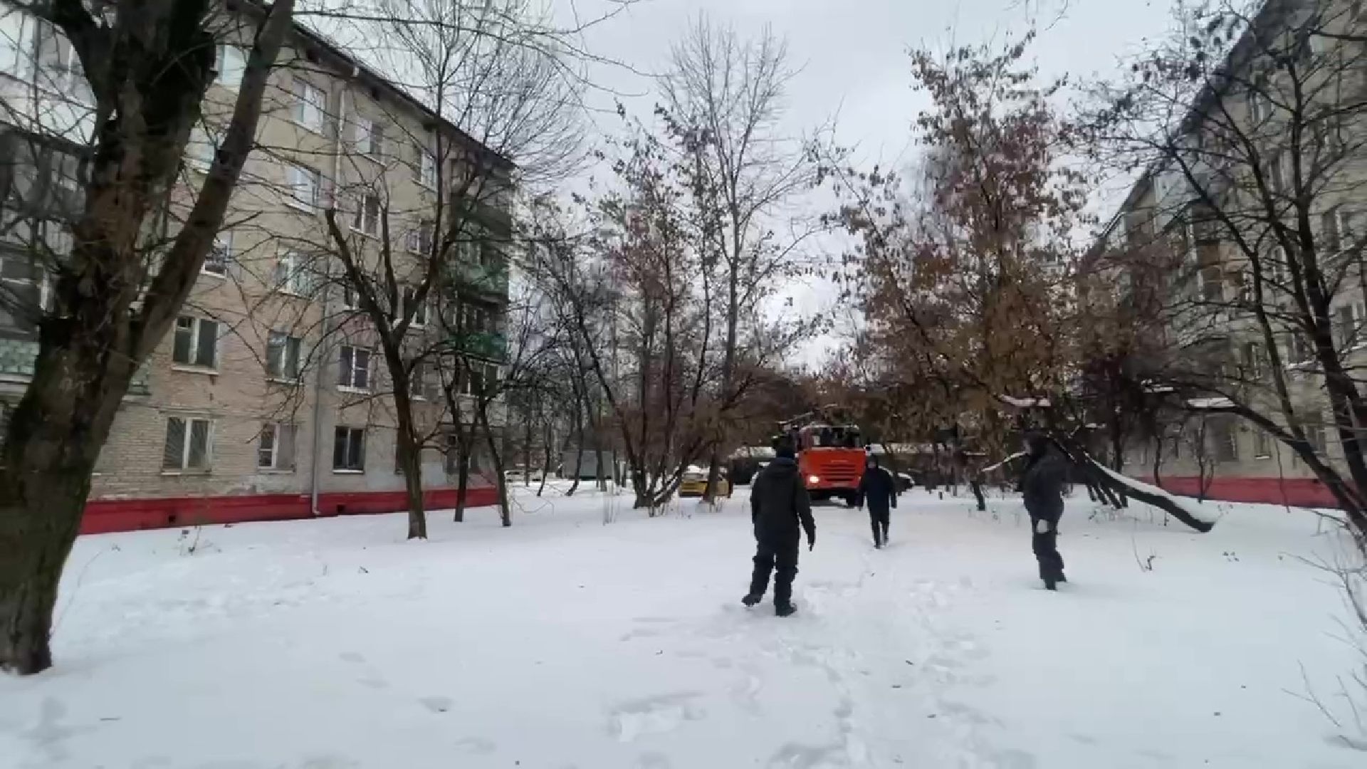 Реутов, кошка, дерево, спасение, операция,люлька,