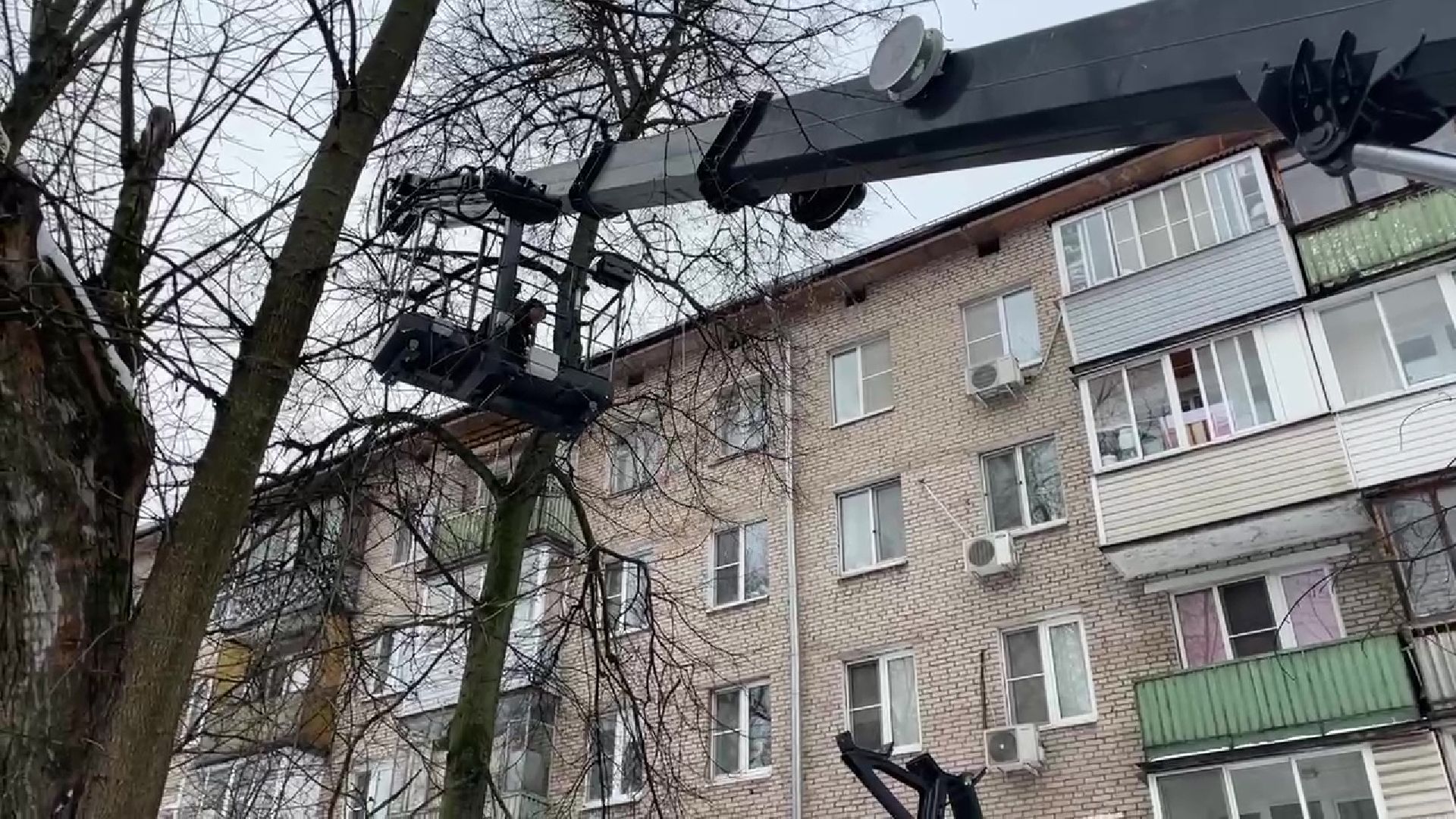 Реутов, кошка, дерево, спасение, операция,люлька,