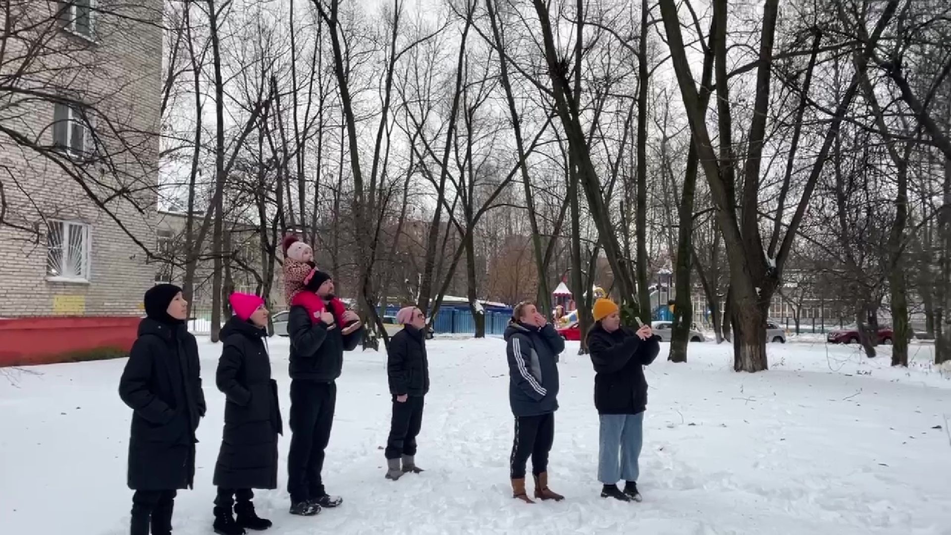 Реутов, кошка, дерево, спасение, операция,люлька,