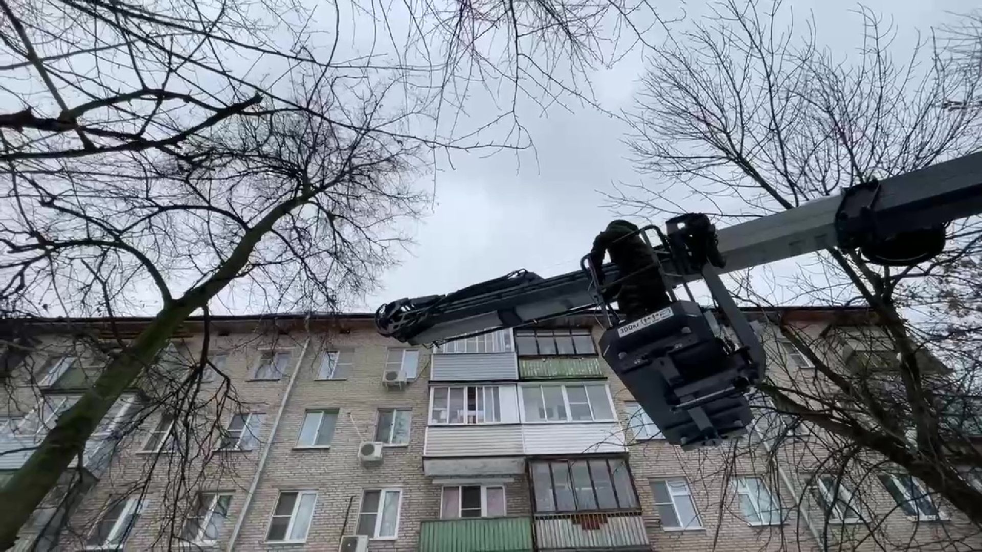 Реутов, кошка, дерево, спасение, операция,люлька,