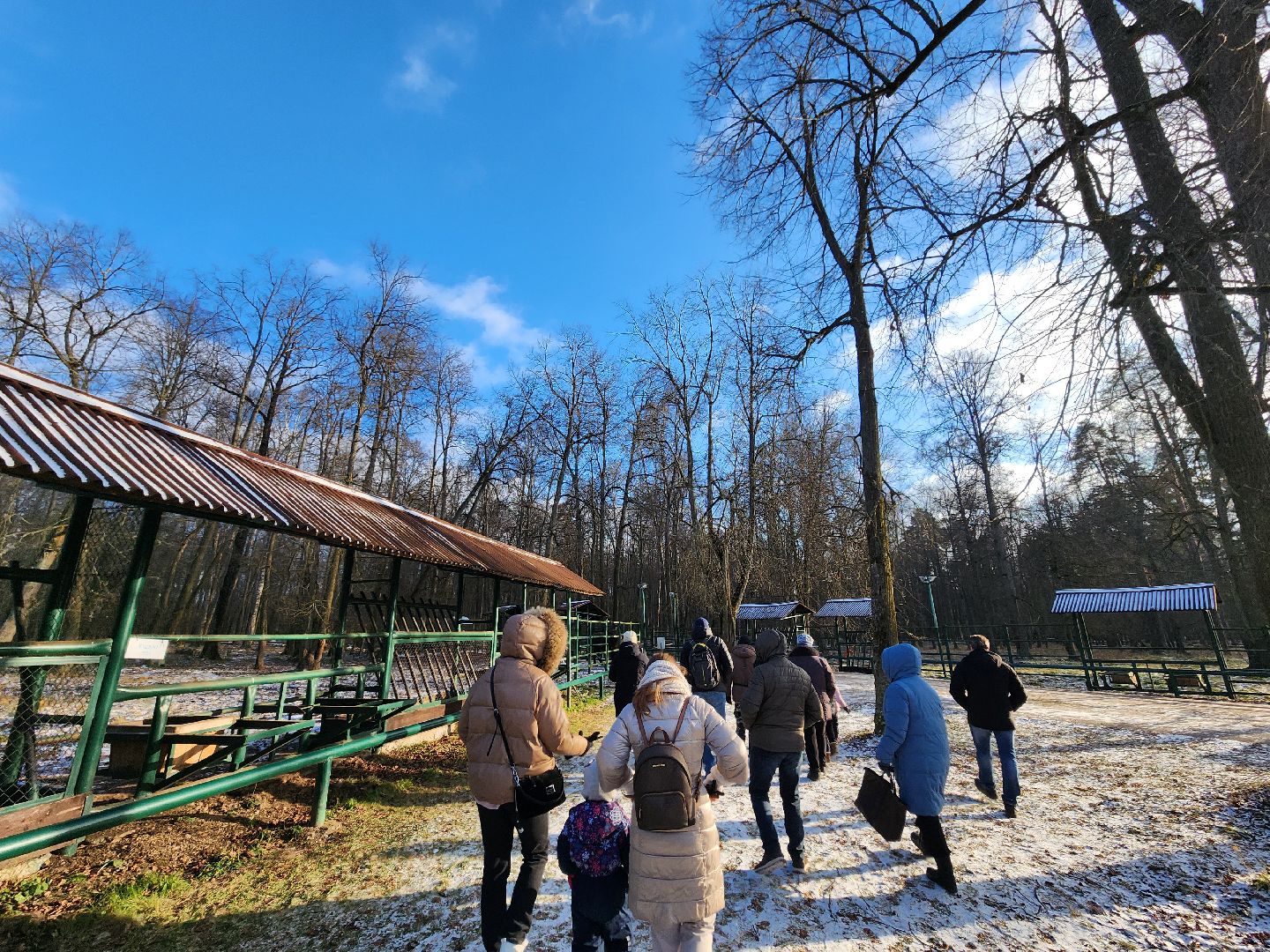 серпухов, подмосковье, Приокско-террасный заповедник, зубры, бизоны,