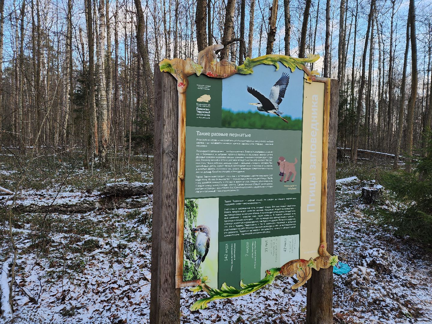 серпухов, подмосковье, Приокско-террасный заповедник, зубры, бизоны,