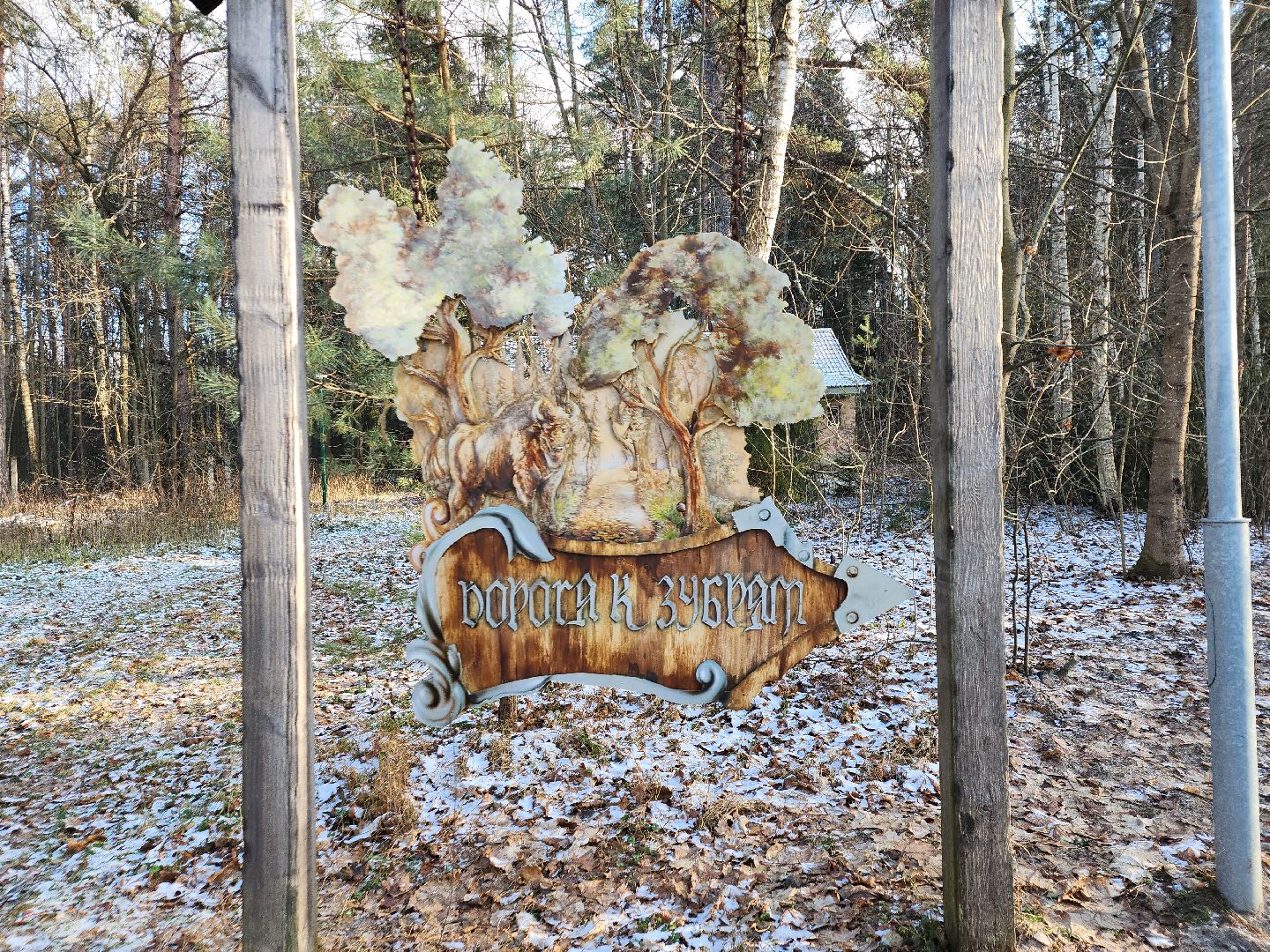 серпухов, подмосковье, Приокско-террасный заповедник, зубры, бизоны,