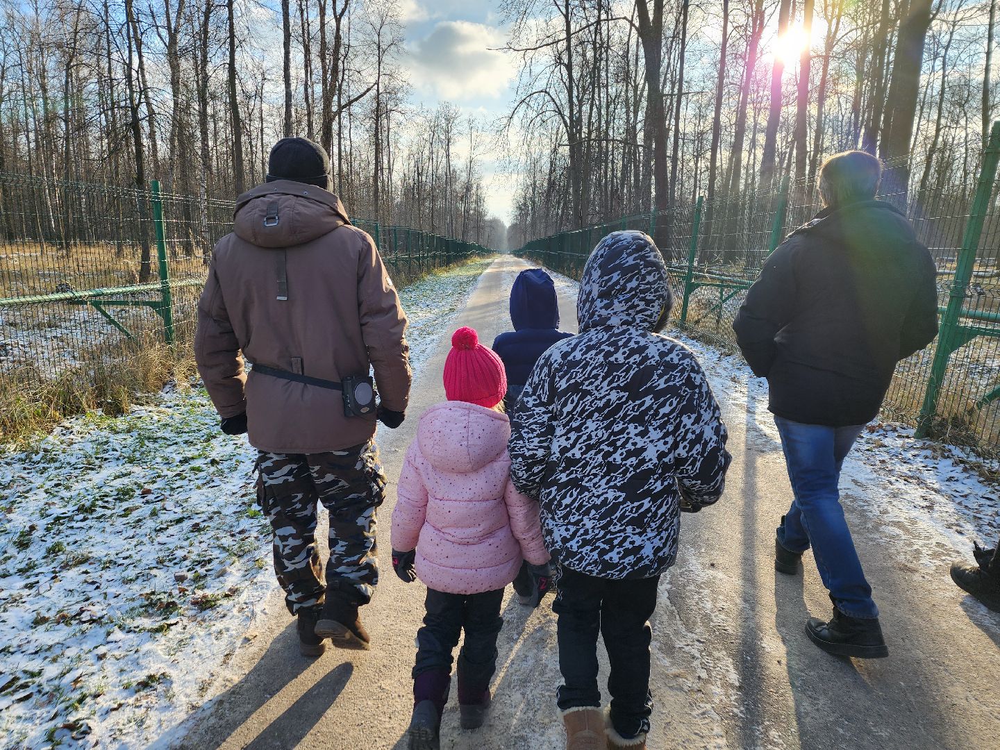 серпухов, подмосковье, Приокско-террасный заповедник, зубры, бизоны,