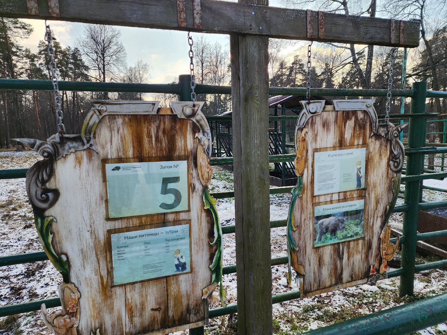 серпухов, подмосковье, Приокско-террасный заповедник, зубры, бизоны,