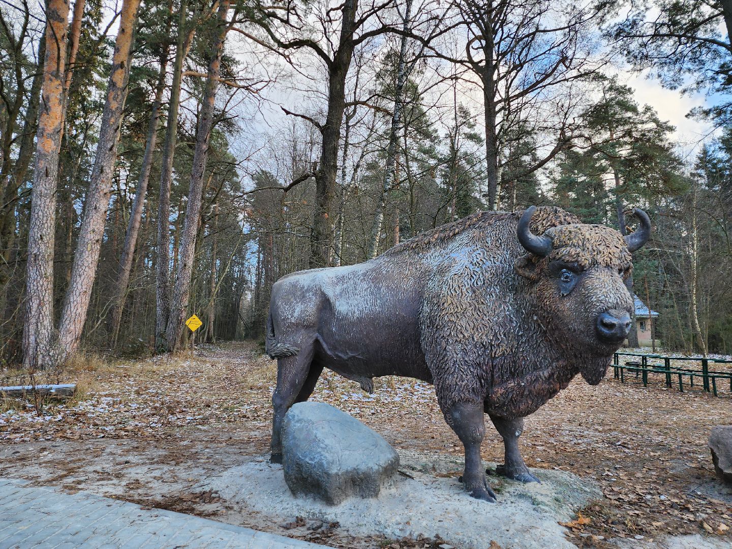 серпухов, подмосковье, Приокско-террасный заповедник, зубры, бизоны,