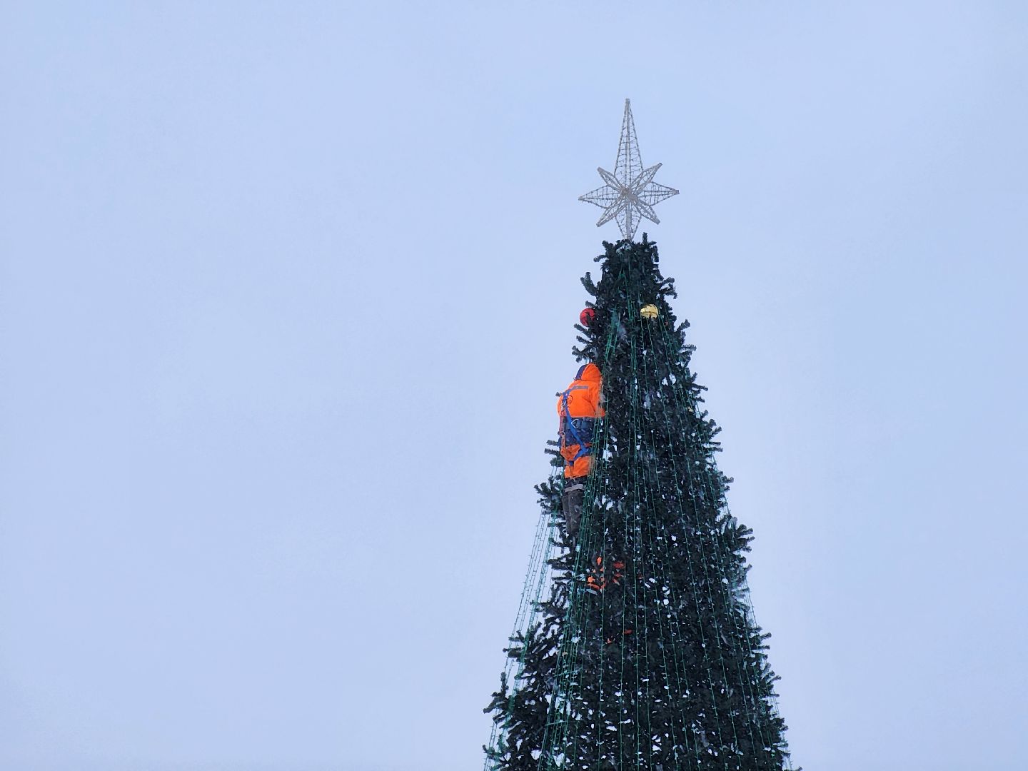 одинцово, благоустройство, елка, новый год,