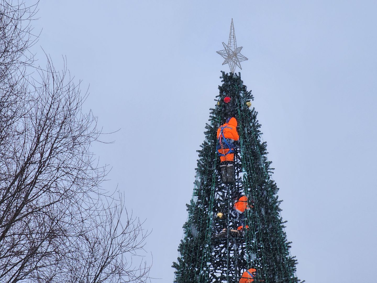 одинцово, благоустройство, елка, новый год,