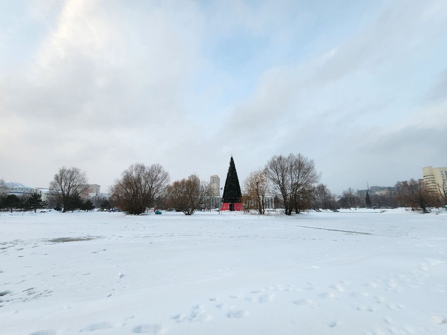 одинцово, благоустройство, елка, новый год,