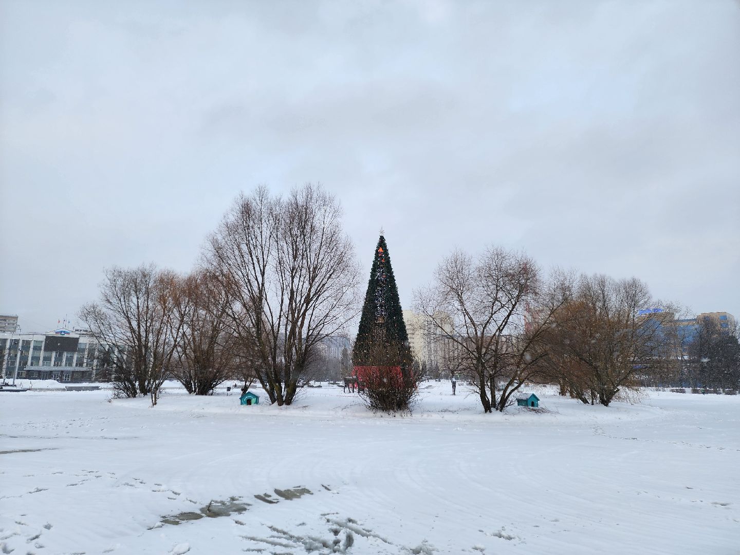 одинцово, благоустройство, елка, новый год,