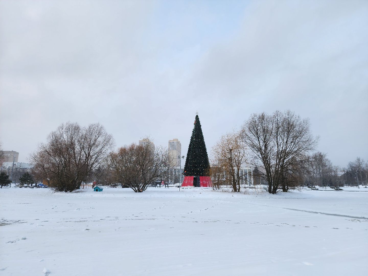одинцово, благоустройство, елка, новый год,