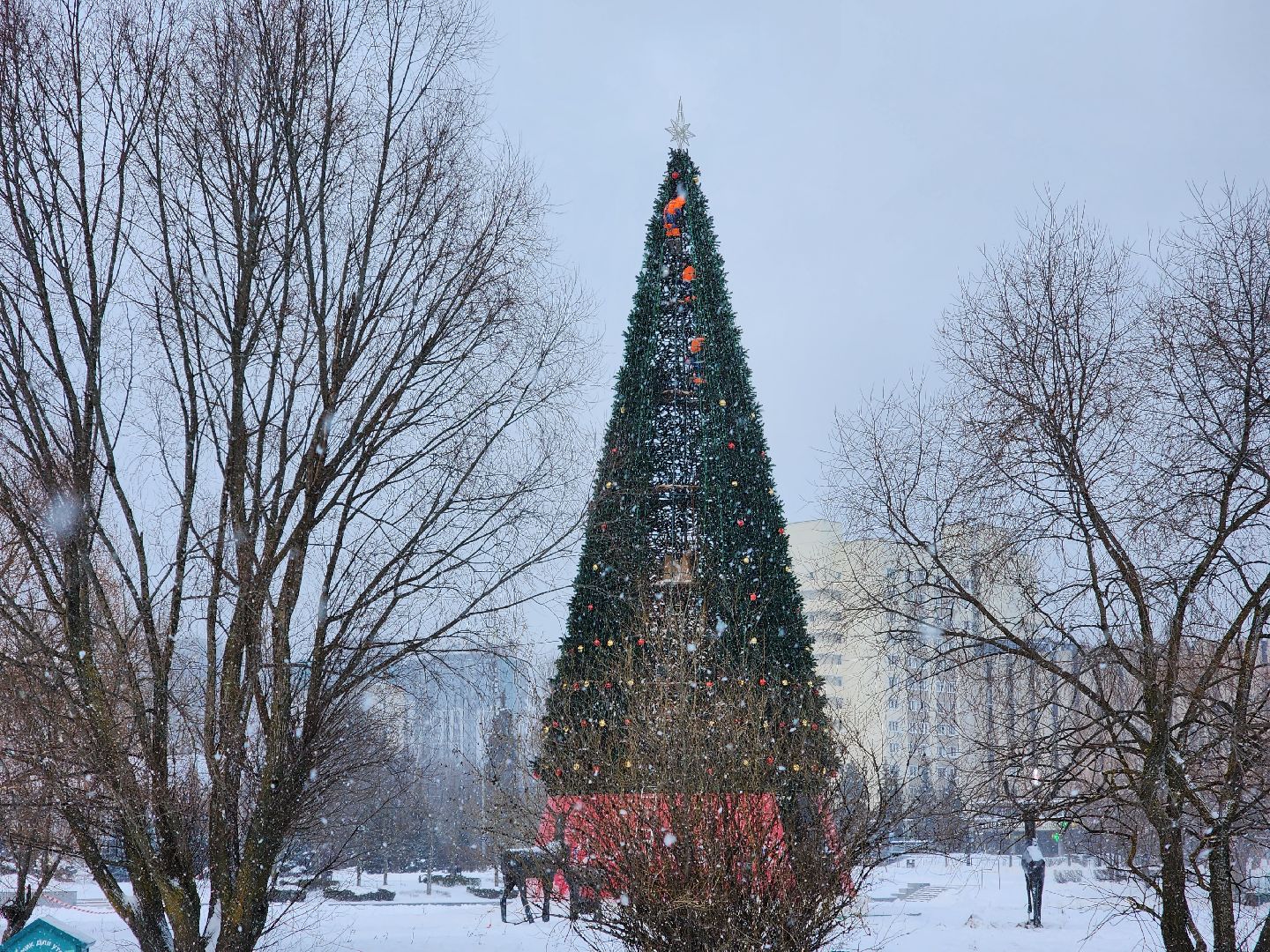 одинцово, благоустройство, елка, новый год,