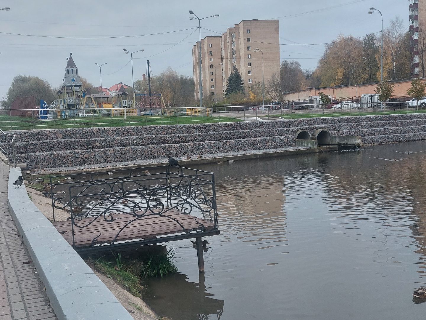 чехов, пруды,видео с коптера,