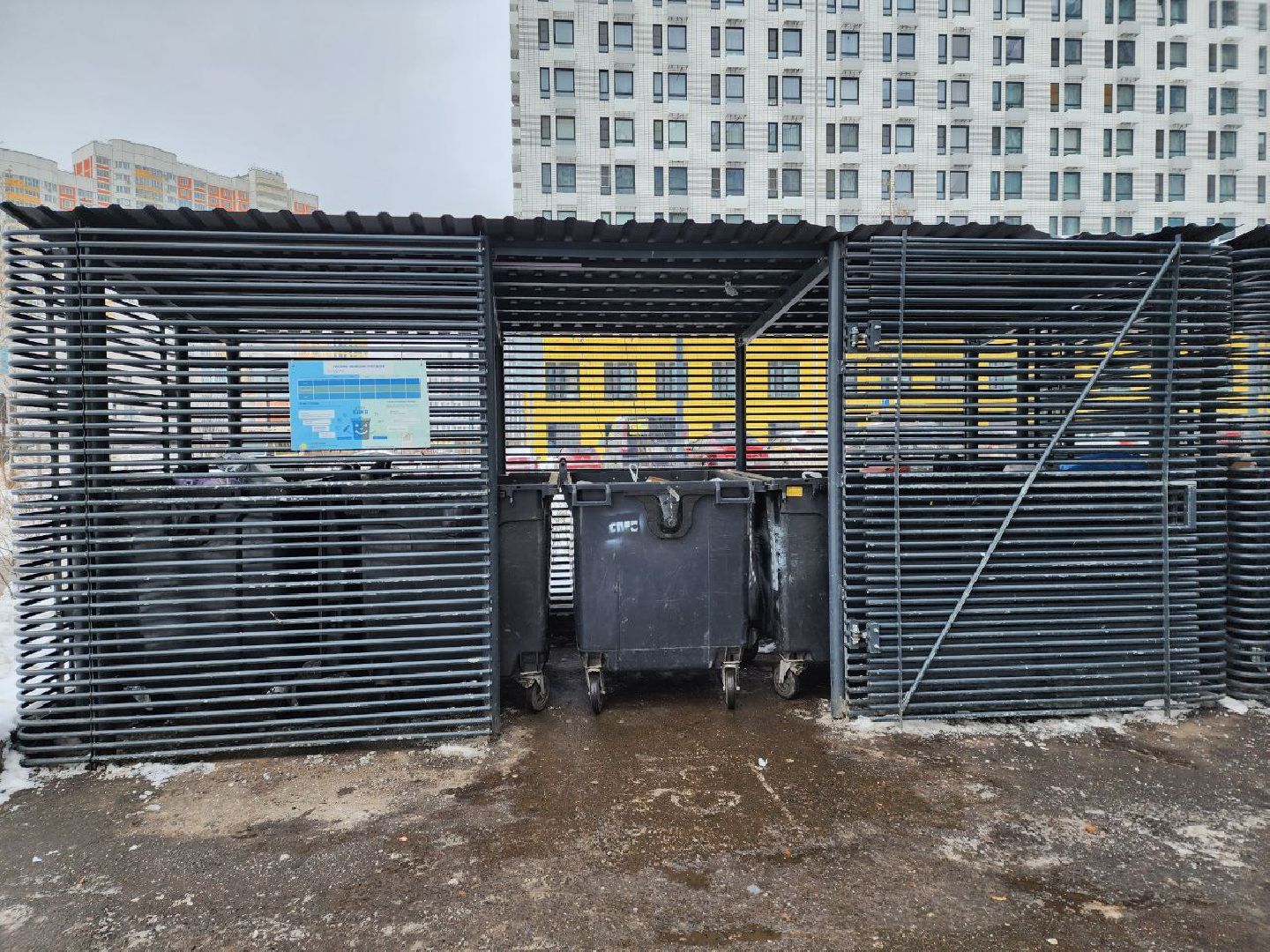 мытищи, улица Мира, контейнерная площадка, жкх, вывоз мусора,