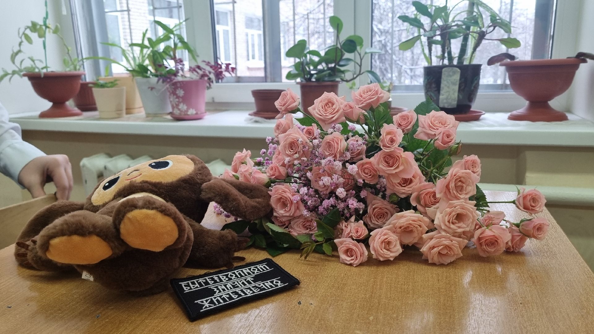 Подмосковье, городской округ пушкинский, Ивантеевка, Образование, СВОих не бросаем, Письмо солдату, спецоперация,