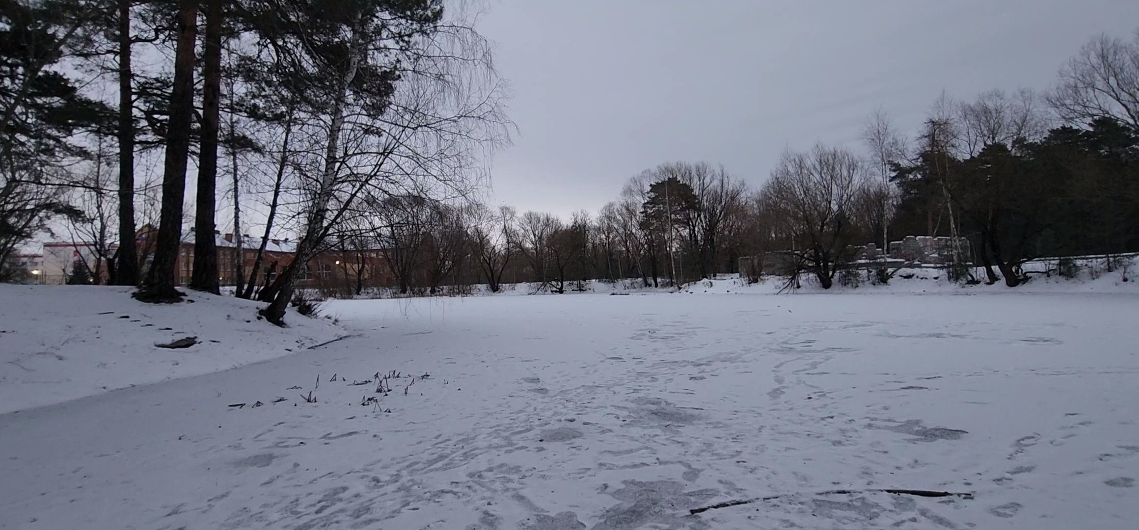 Коломна, Подмосковье, зимовка животных, красная книга,