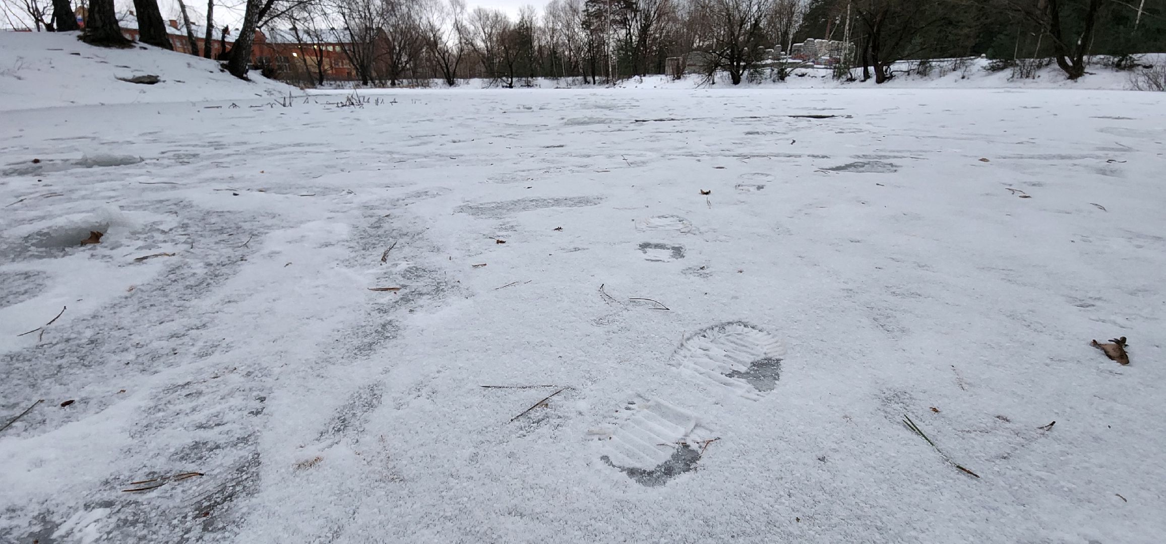 Коломна, Подмосковье, зимовка животных, красная книга,