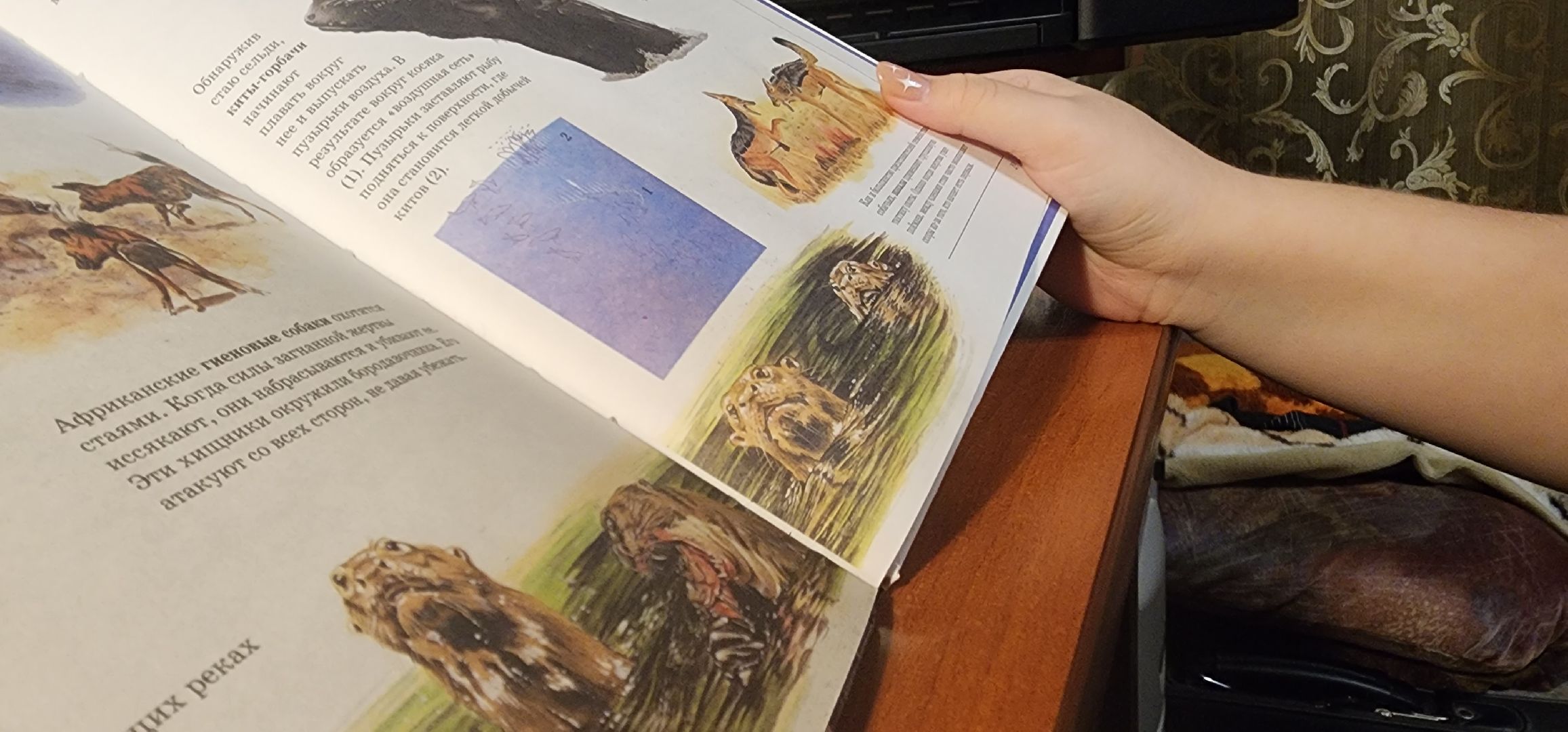 Коломна, Подмосковье, зимовка животных, красная книга,