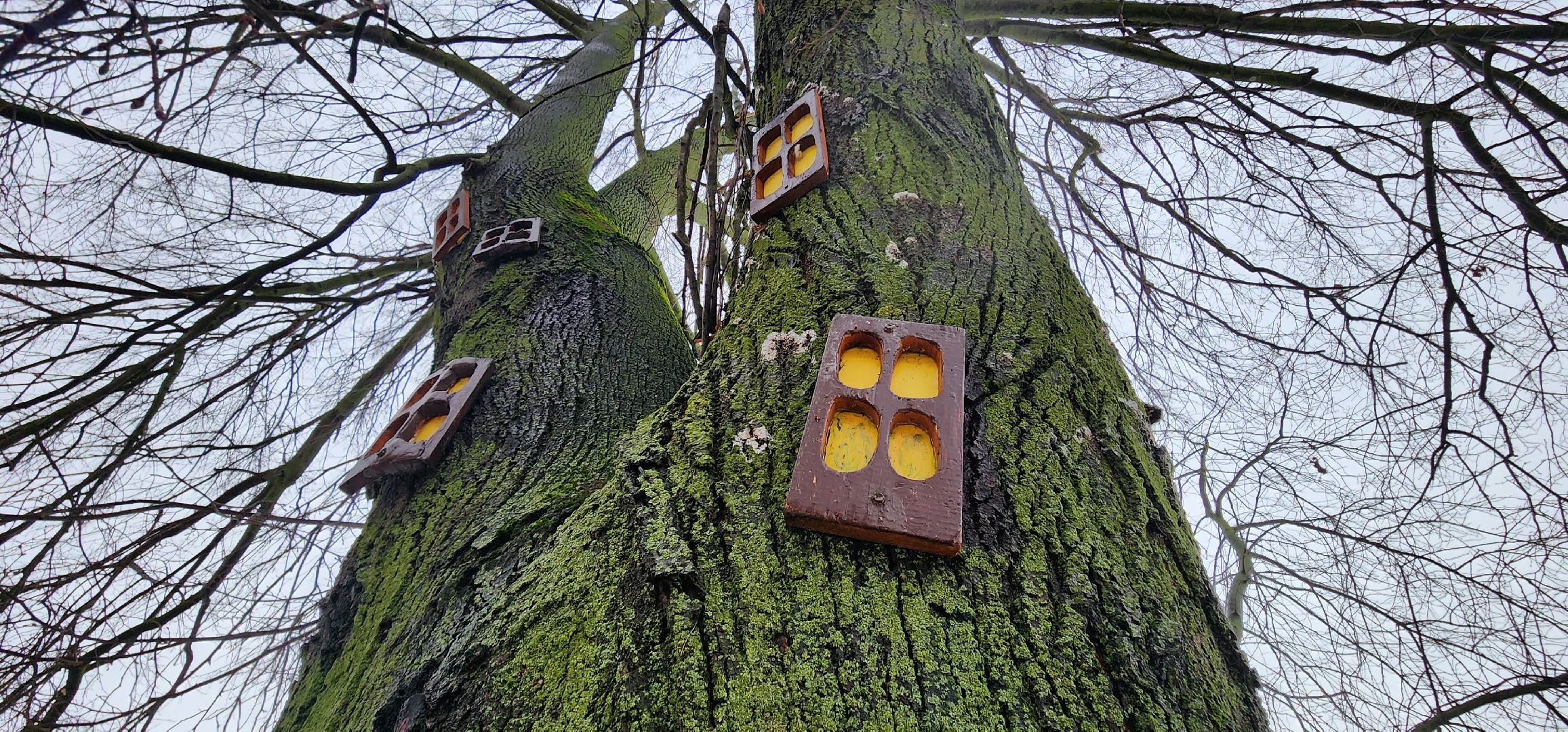 Коломна, туризм, арт-объект, мозаика, достопримечательности,