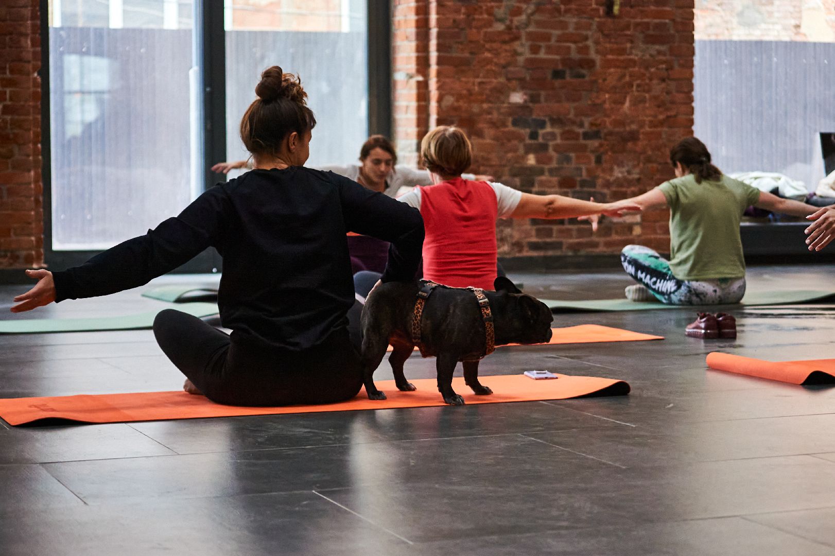 йога, Городские возможности, наро-фоминск,