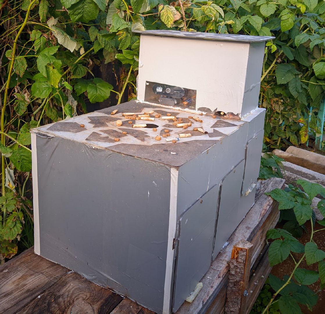 Реутов, изобретение, врановые, Родион Муцольгов, экология, премия,