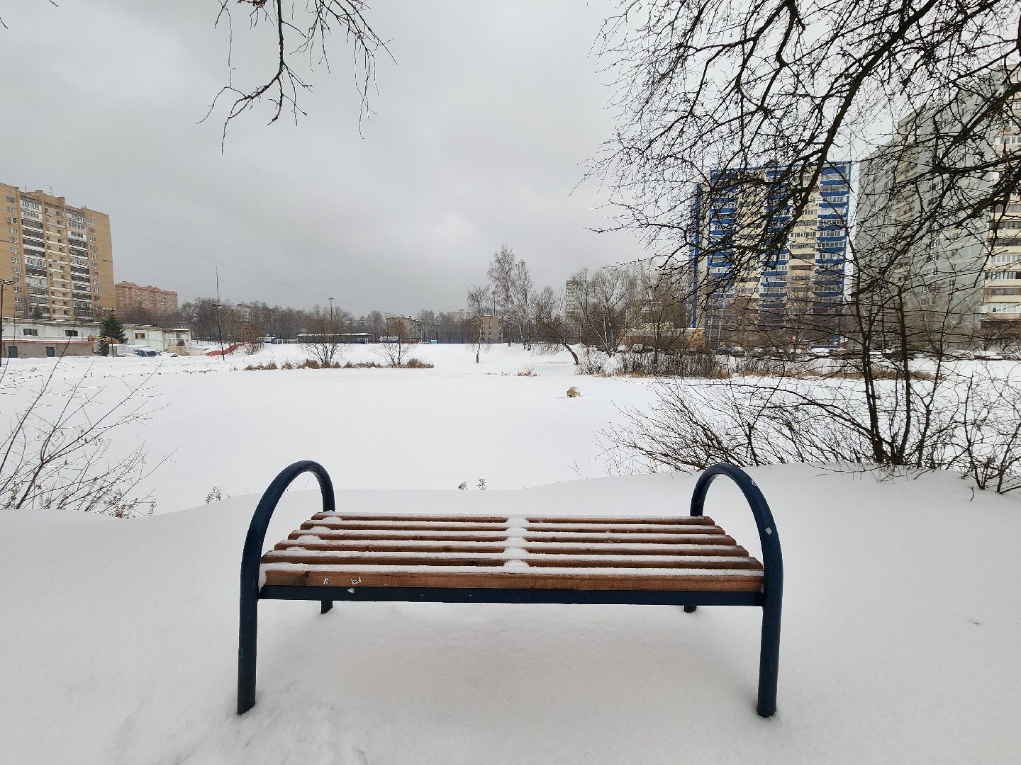 одинцово, благоустройство, комсомольский пруд,