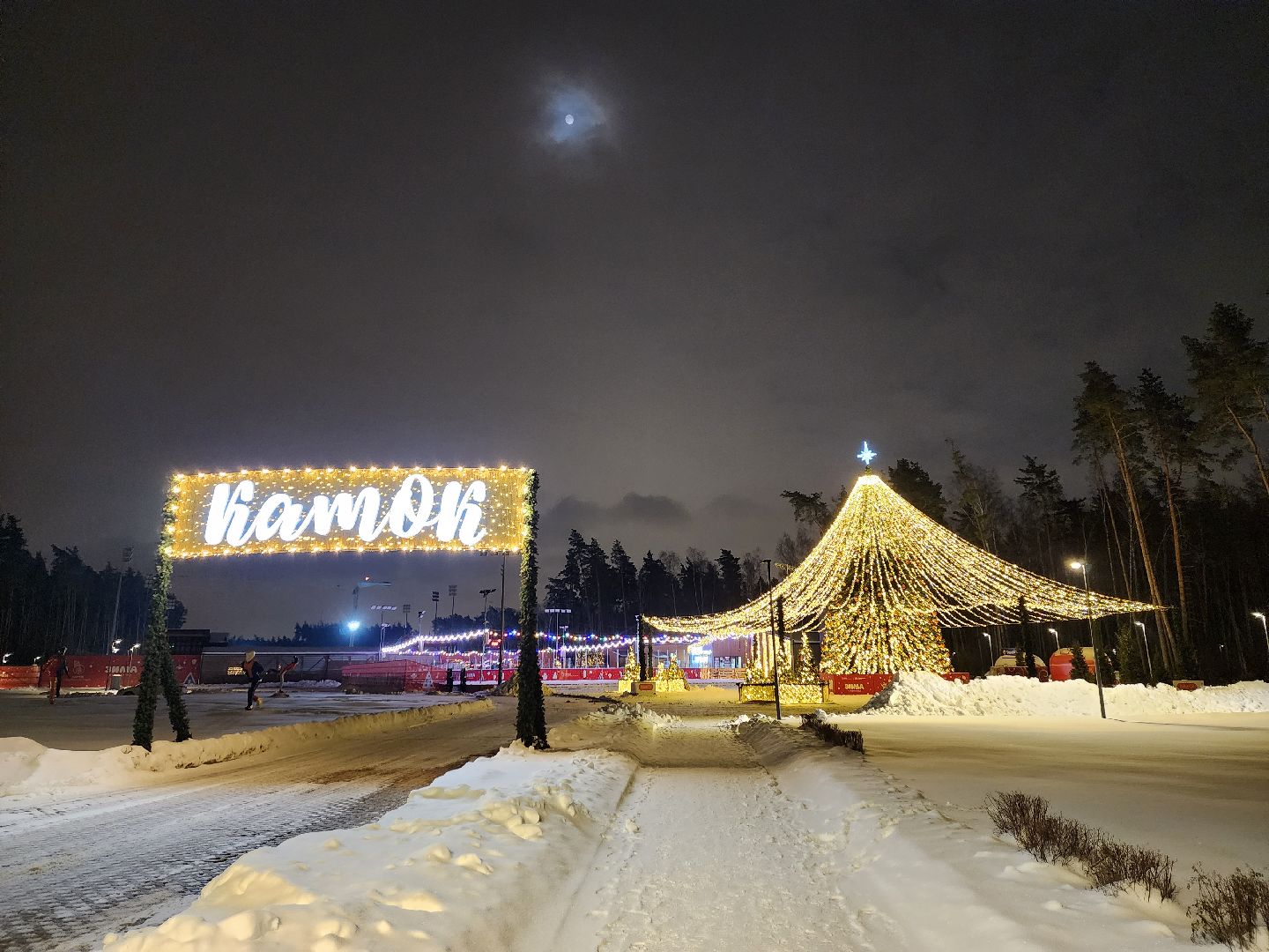 Одинцово, парк малевича, новый год, елка,