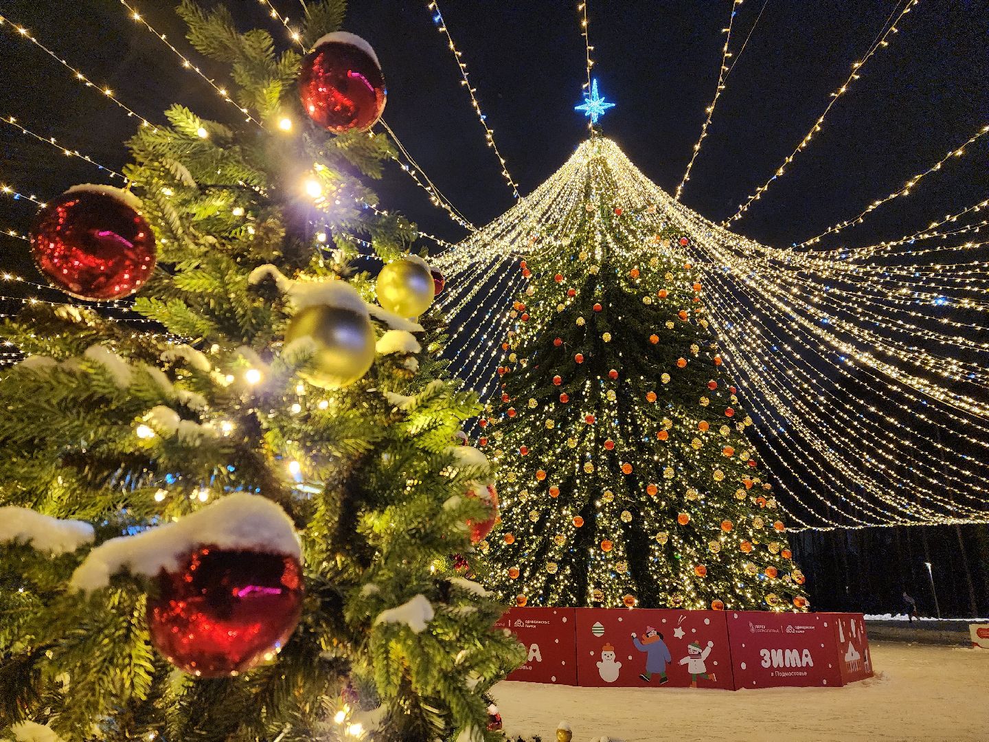 Одинцово, парк малевича, новый год, елка,