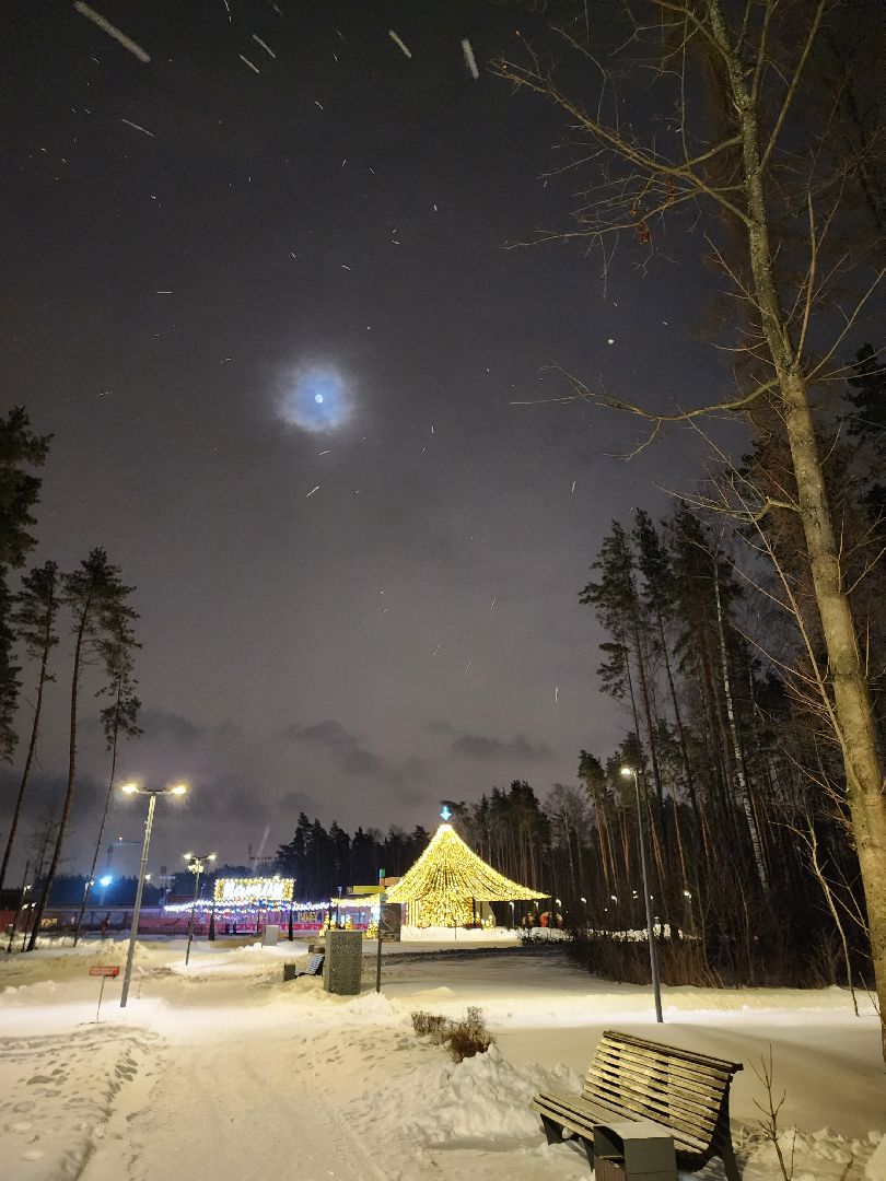 Одинцово, парк малевича, новый год, елка,