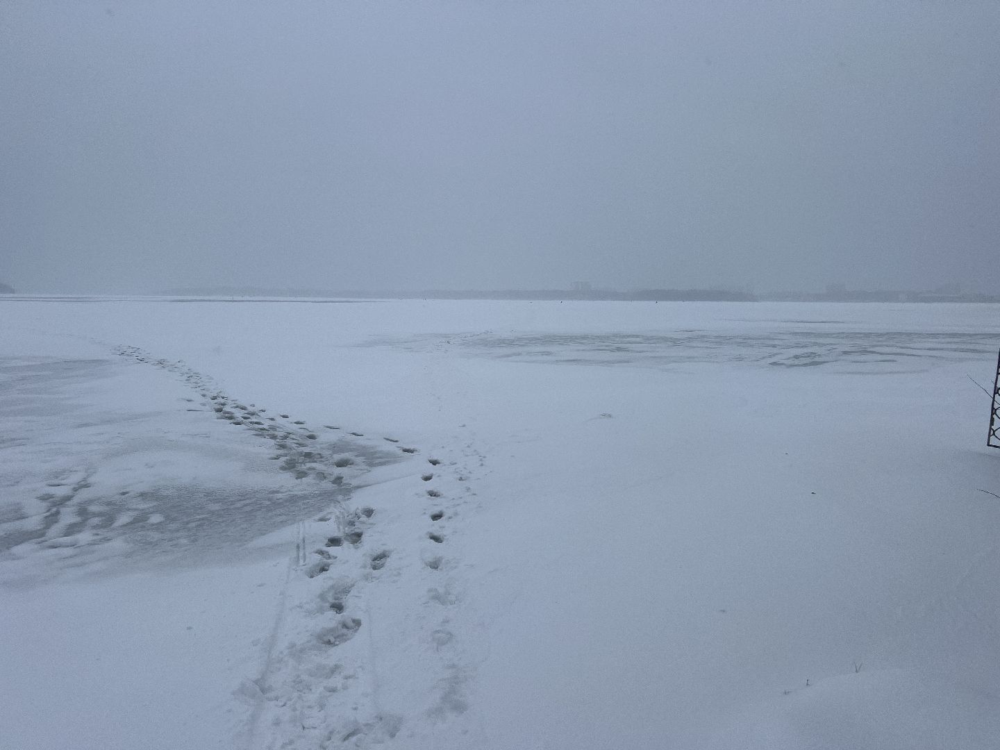 Солнечногорск, безопасность нахождения на льду, лед, ледостав в подмосковье, Жители,