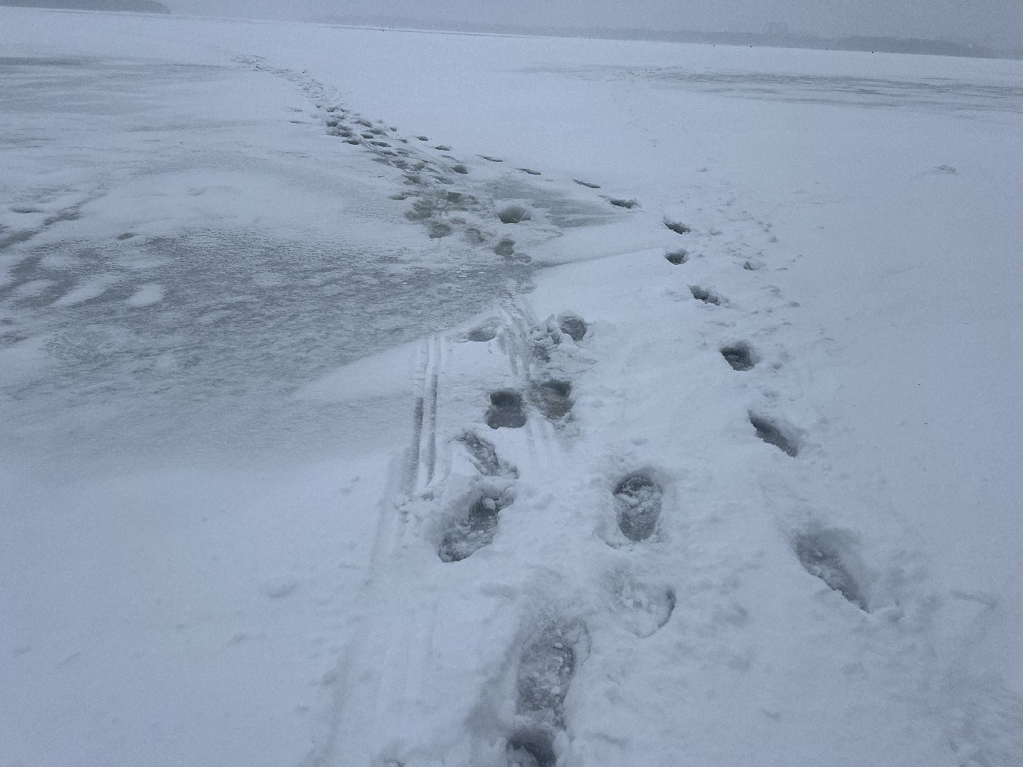 Солнечногорск, безопасность нахождения на льду, лед, ледостав в подмосковье, Жители,