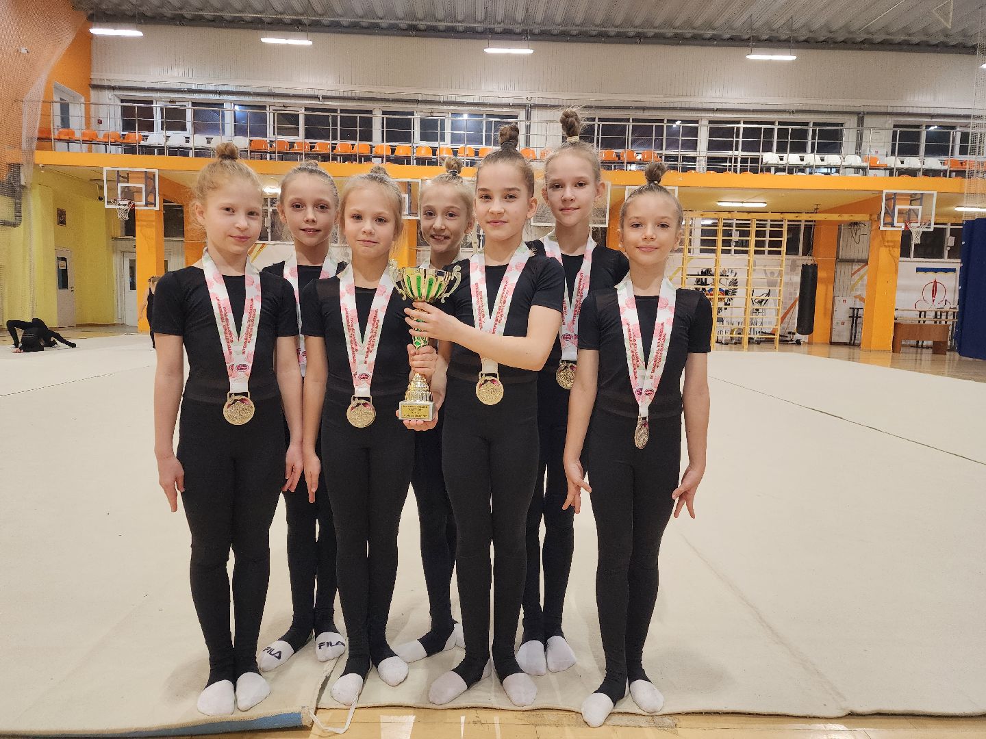 спорт, гимнастика, чемпион мира, щёлково,