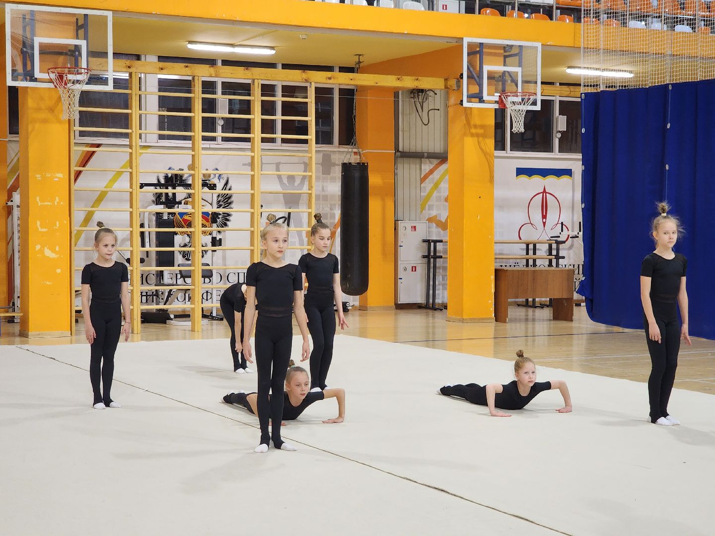 спорт, гимнастика, чемпион мира, щёлково,