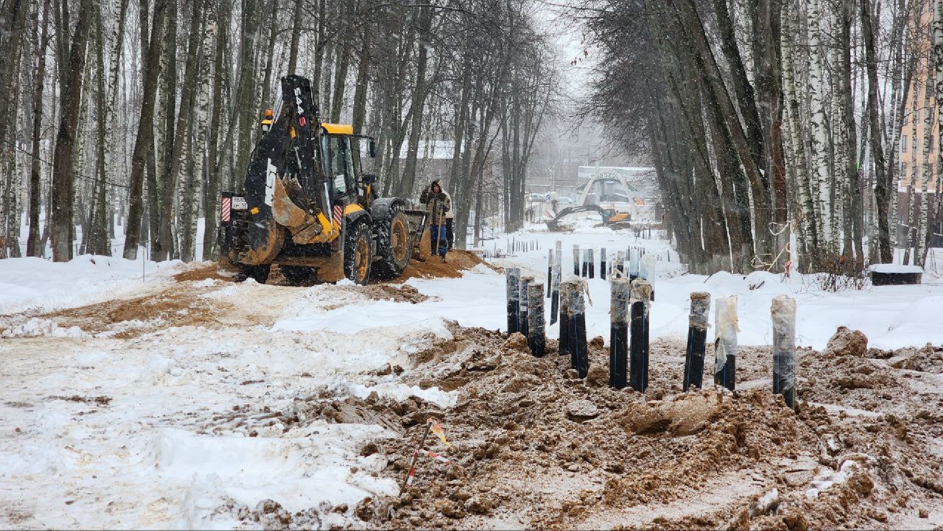Дмитров, Парк Березовая роща, Минблаго,