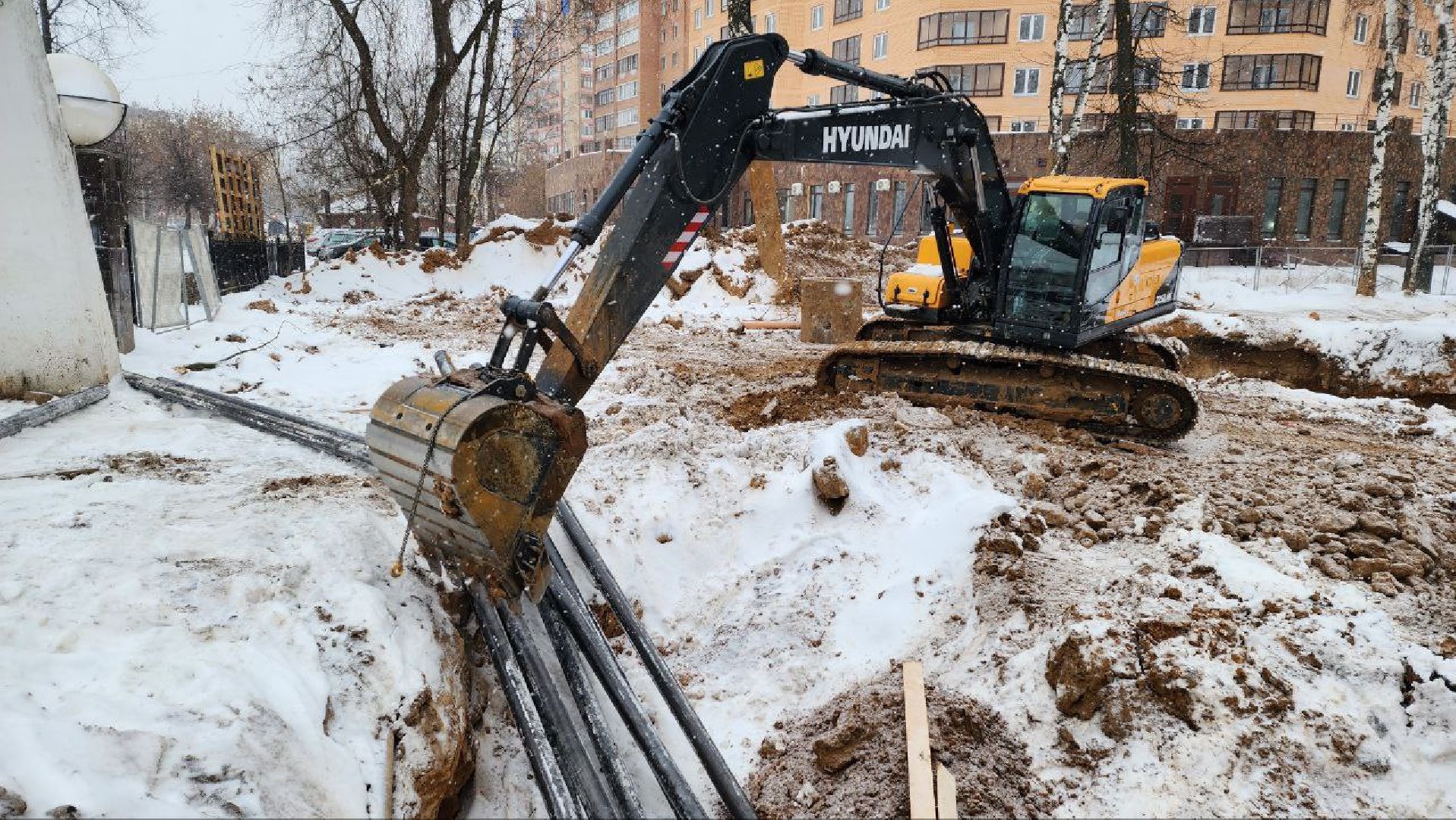 Дмитров, Парк Березовая роща, Минблаго,