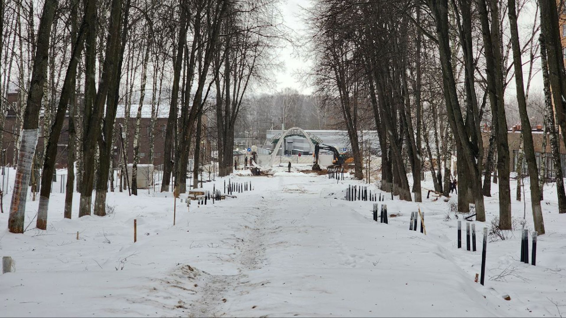 Дмитров, Парк Березовая роща, Минблаго,