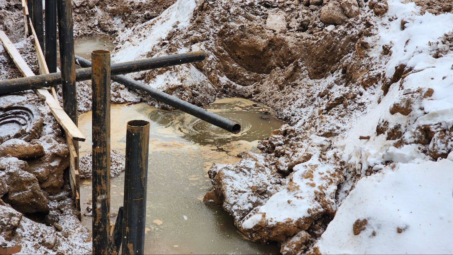 Дмитров, Парк Березовая роща, Минблаго,