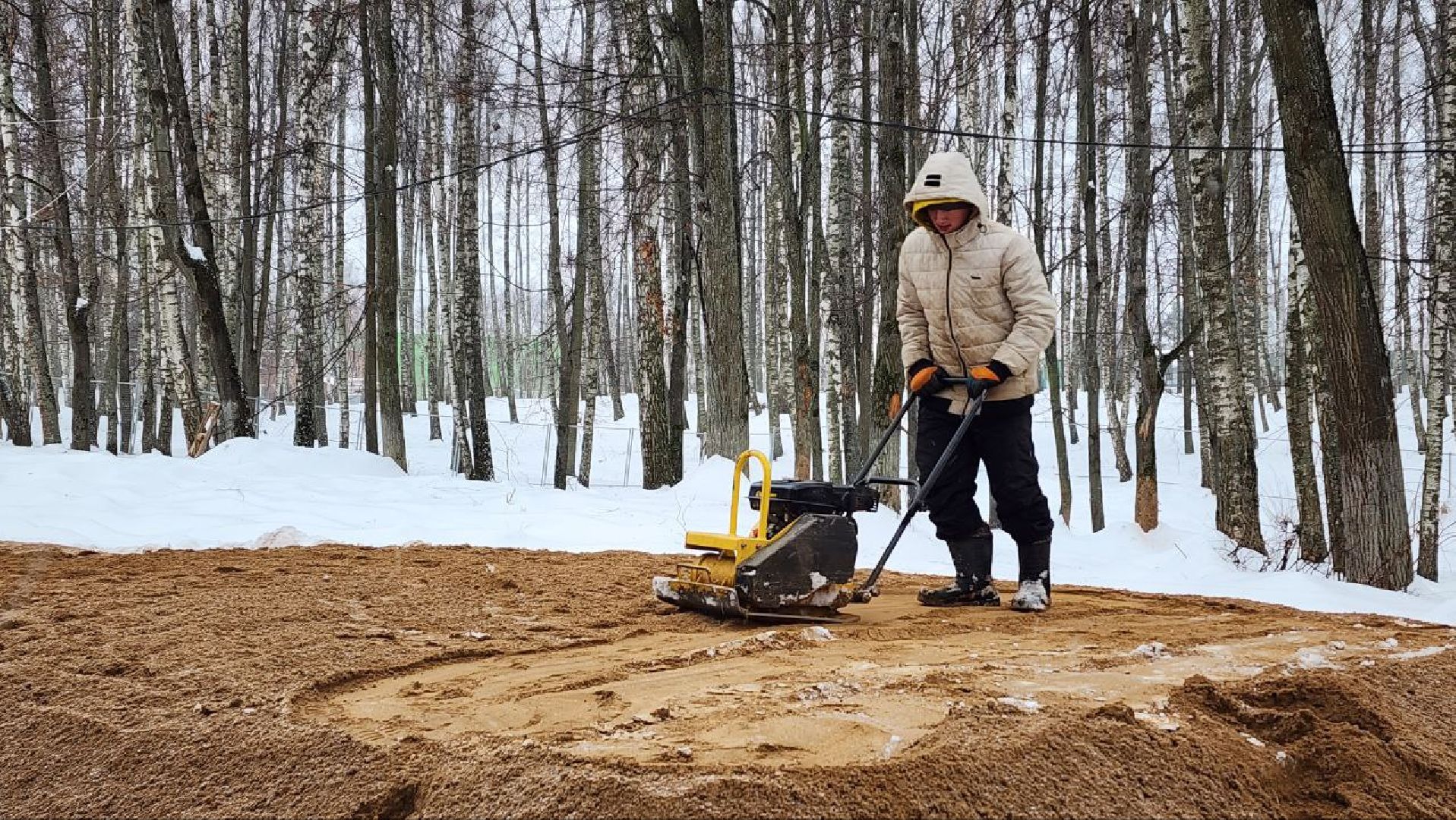 Дмитров, Парк Березовая роща, Минблаго,