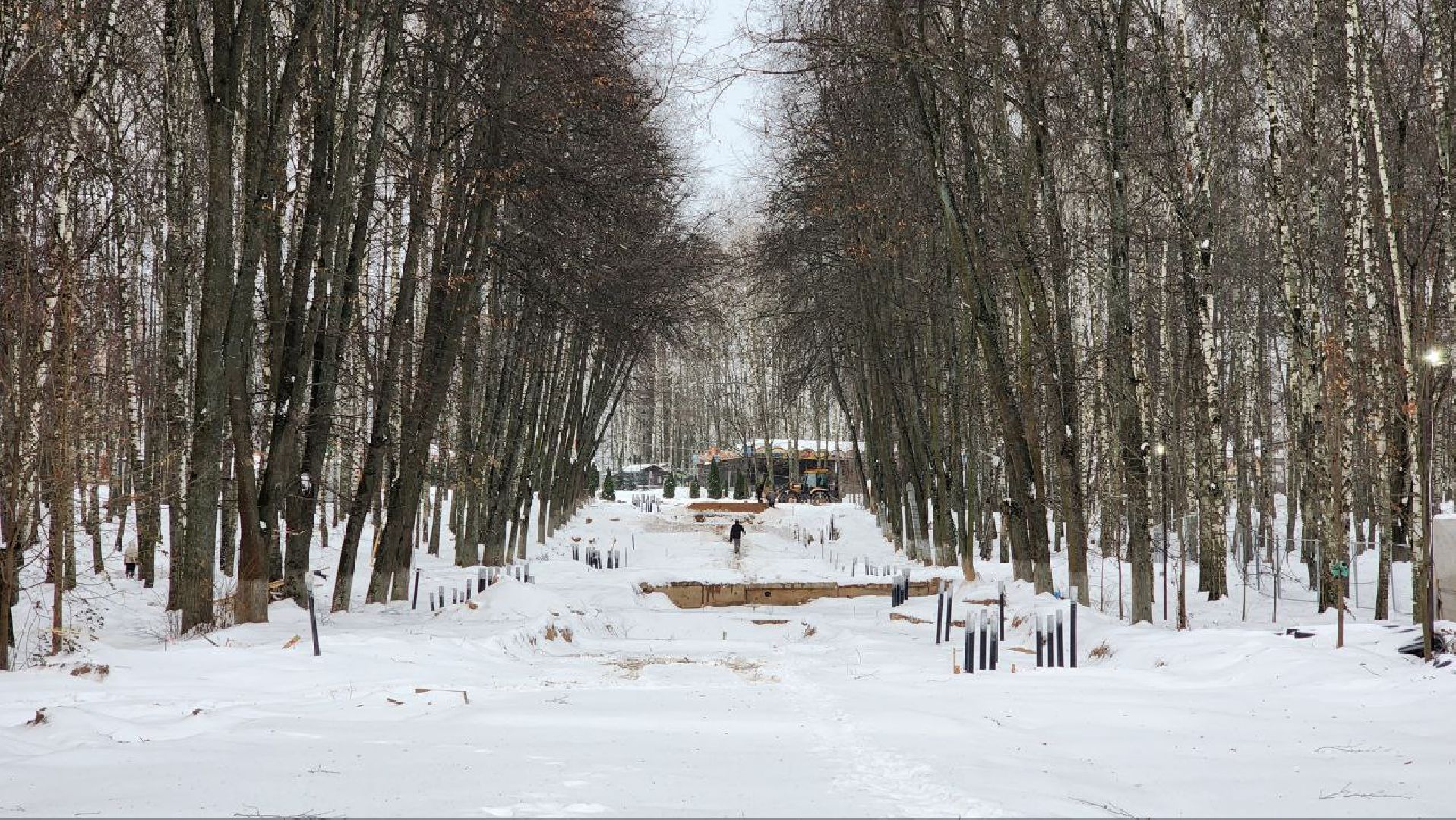 Дмитров, Парк Березовая роща, Минблаго,