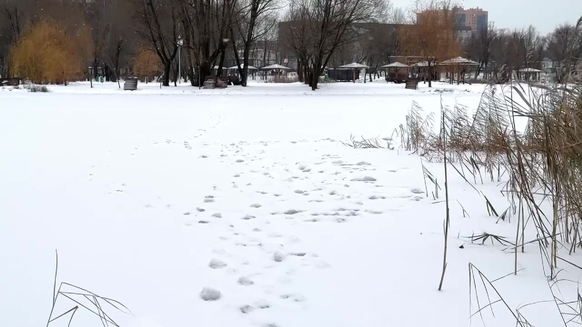 Реутов, тонкий лед, опасность, вода, МЧС,