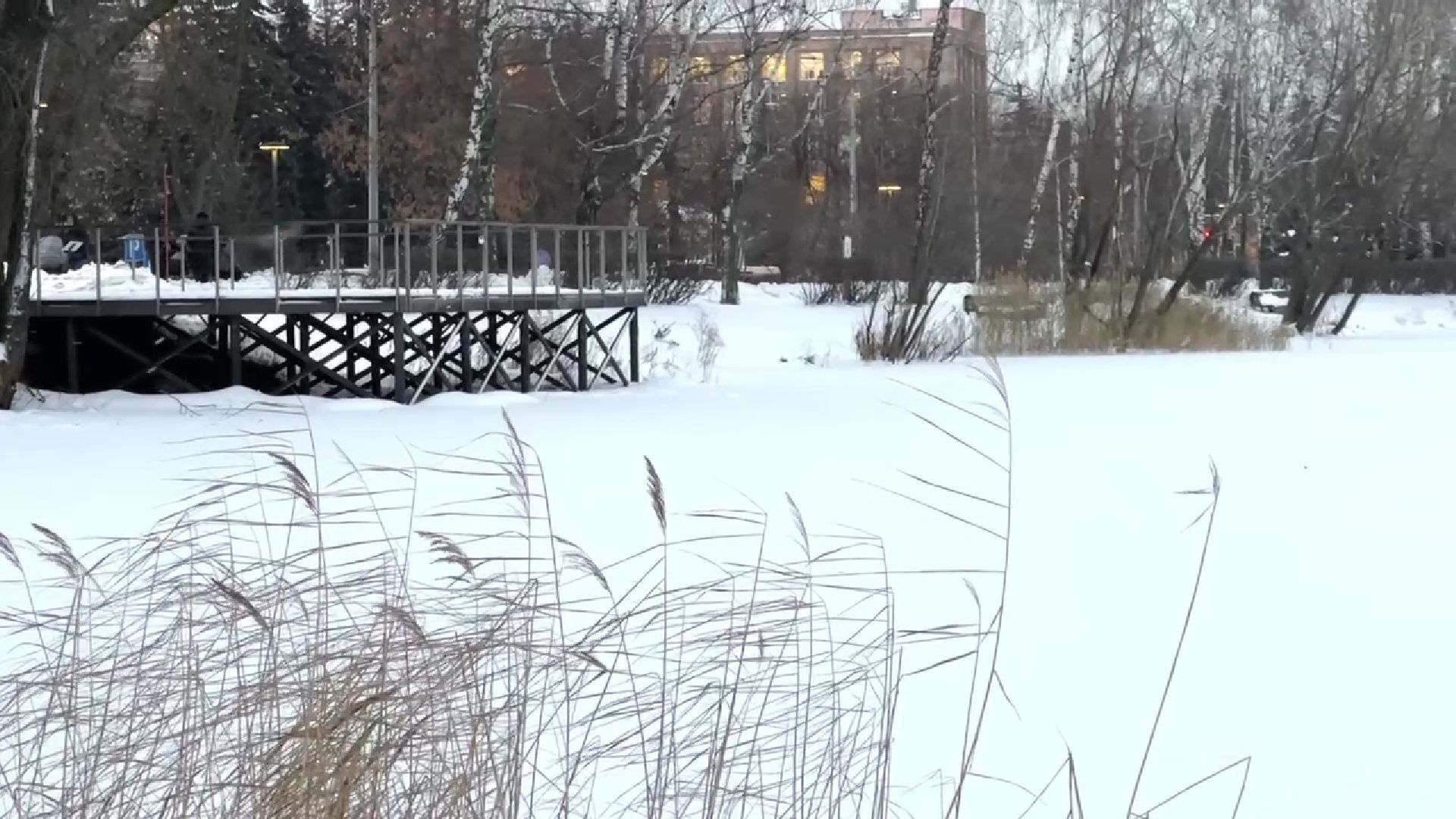 Реутов, тонкий лед, опасность, вода, МЧС,