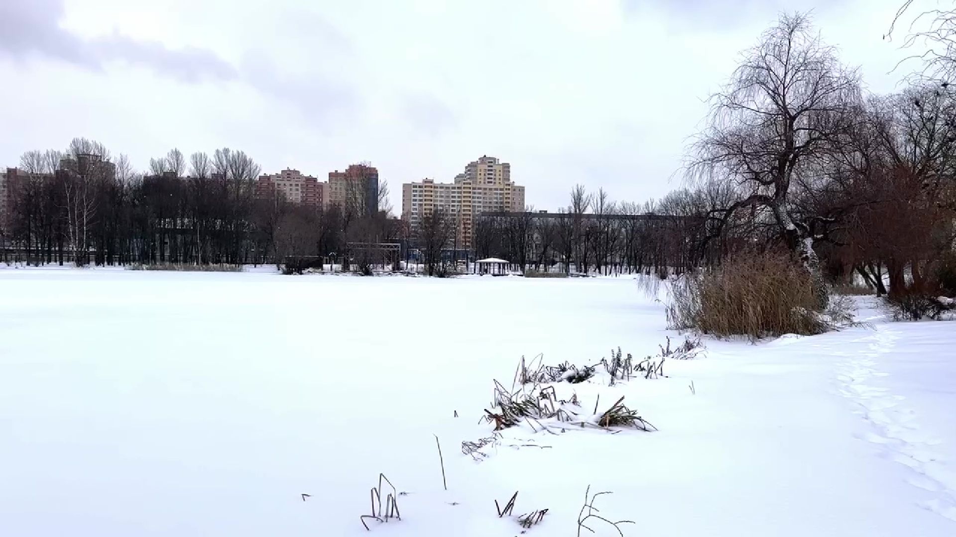 Реутов, тонкий лед, опасность, вода, МЧС,