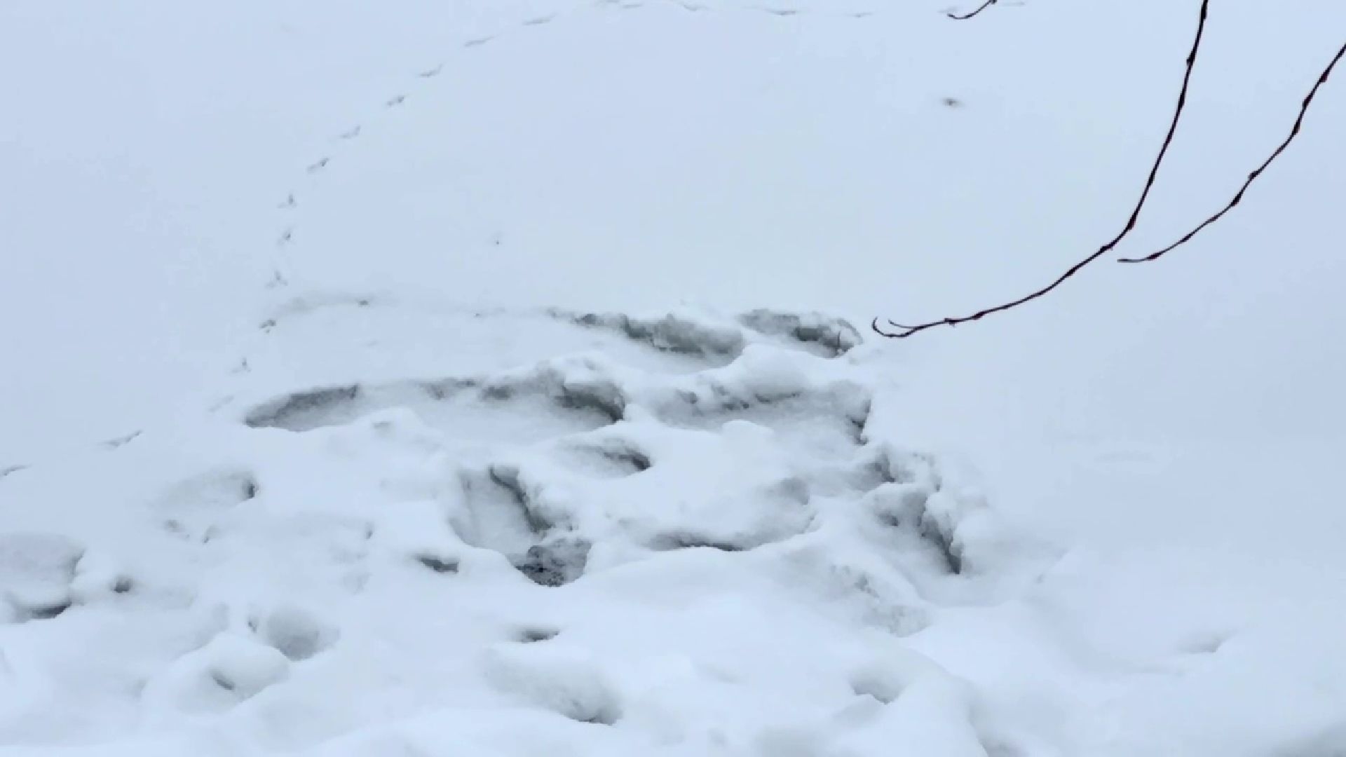 Реутов, тонкий лед, опасность, вода, МЧС,