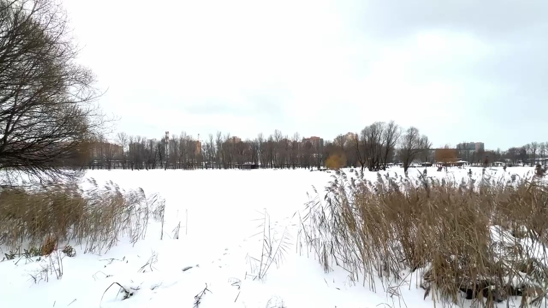 Реутов, тонкий лед, опасность, вода, МЧС,