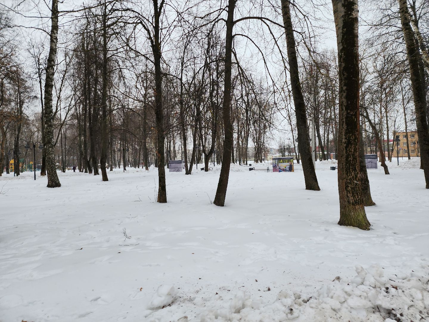 серпухов, подмосковье, скейт-парк, Комсомольский парк,