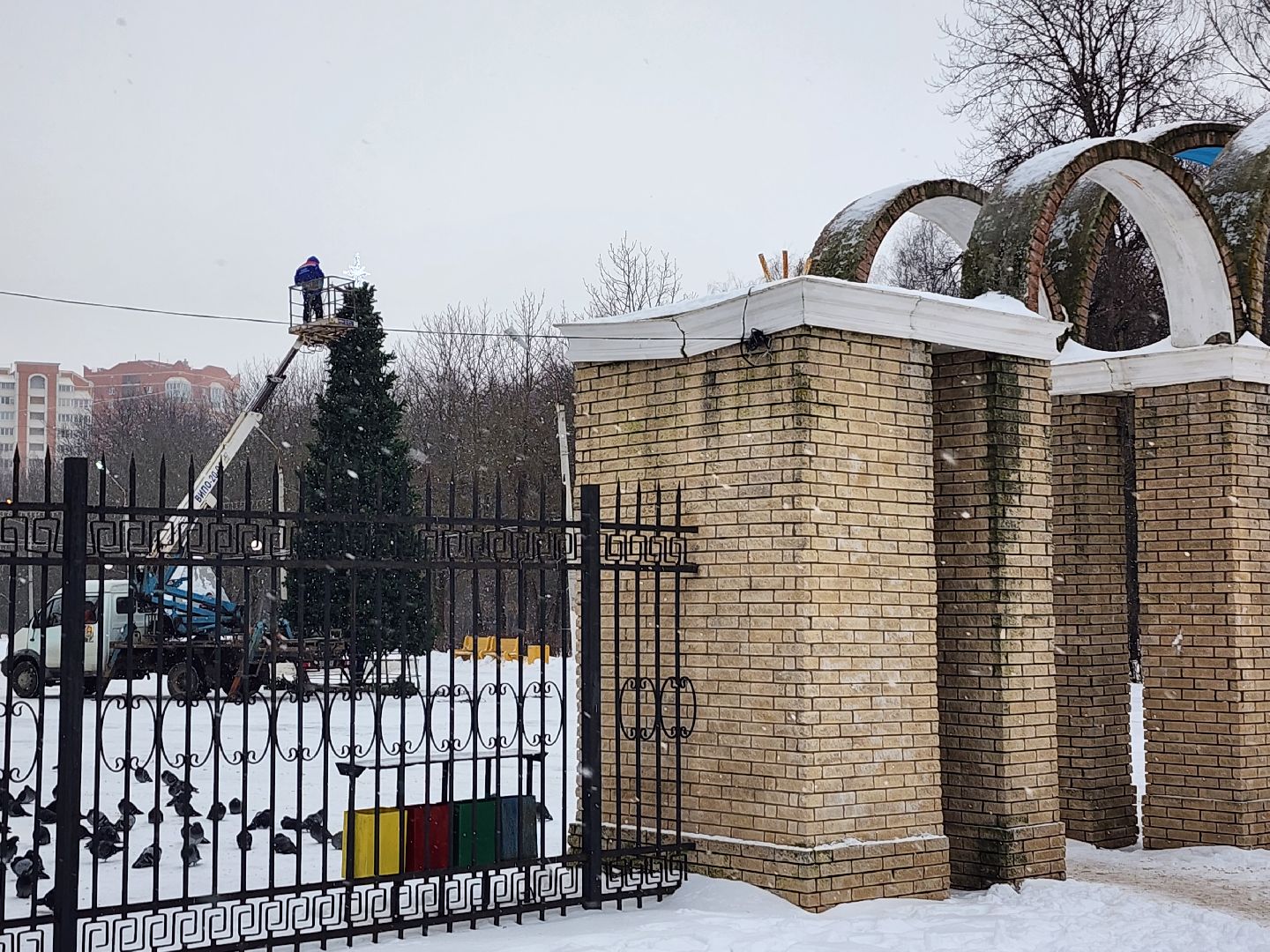 серпухов, новогодняя елка, городские парки, новый год, новогодние украшения, парк питомник,