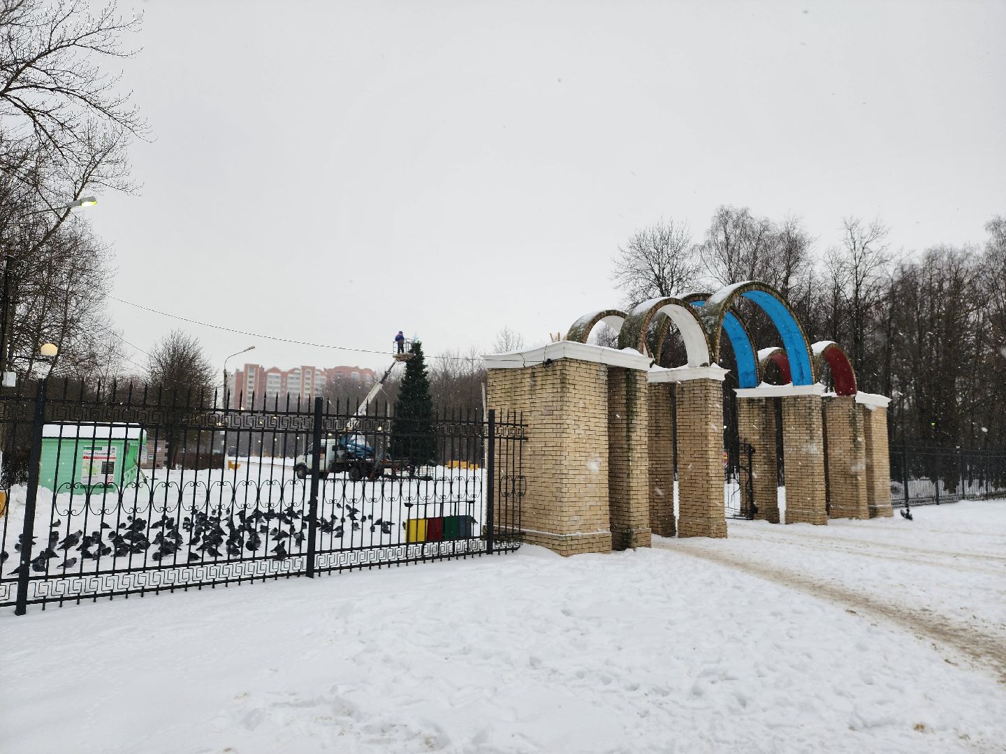серпухов, новогодняя елка, городские парки, новый год, новогодние украшения, парк питомник,