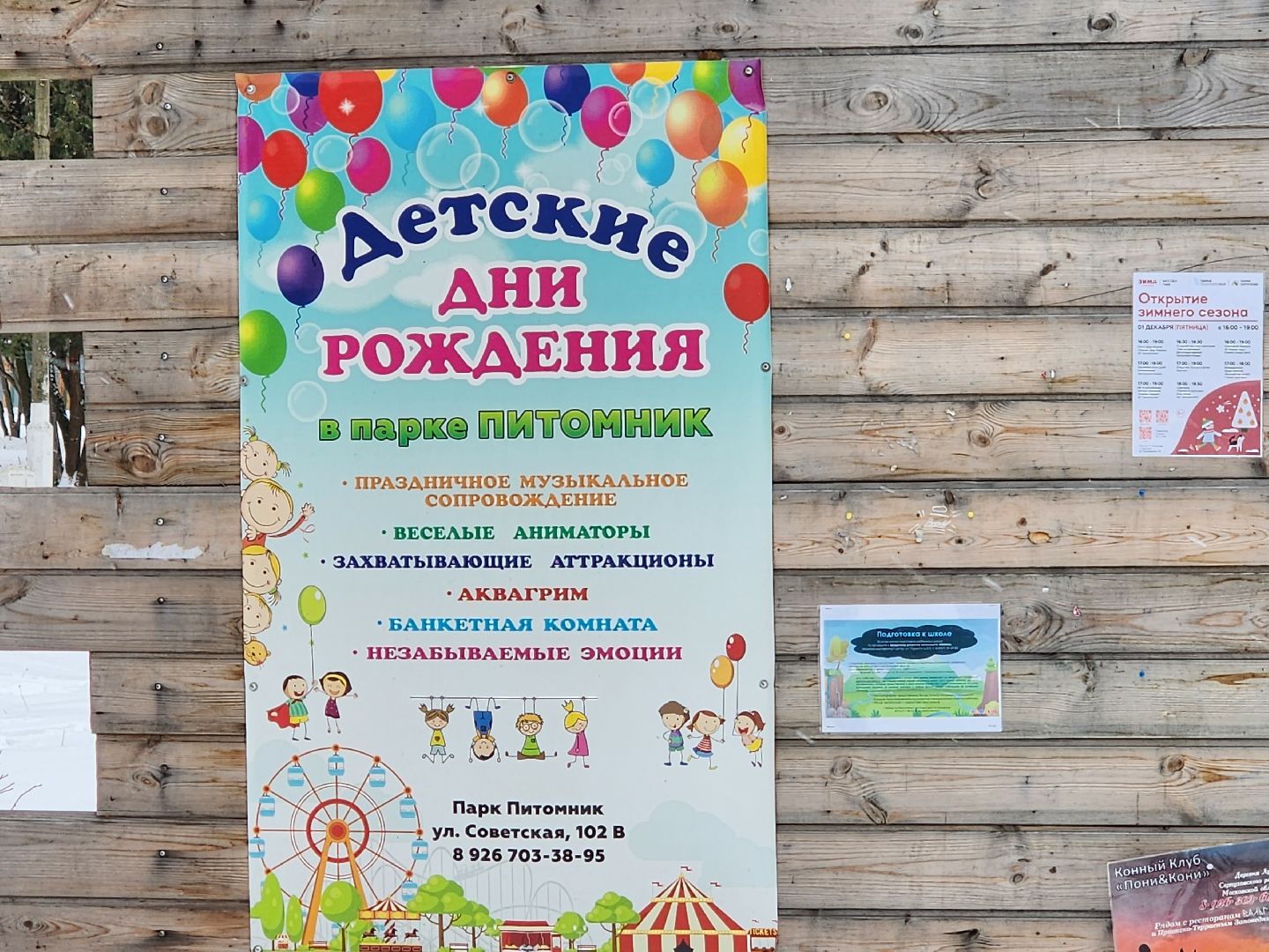 серпухов, новогодняя елка, городские парки, новый год, новогодние украшения, парк питомник,