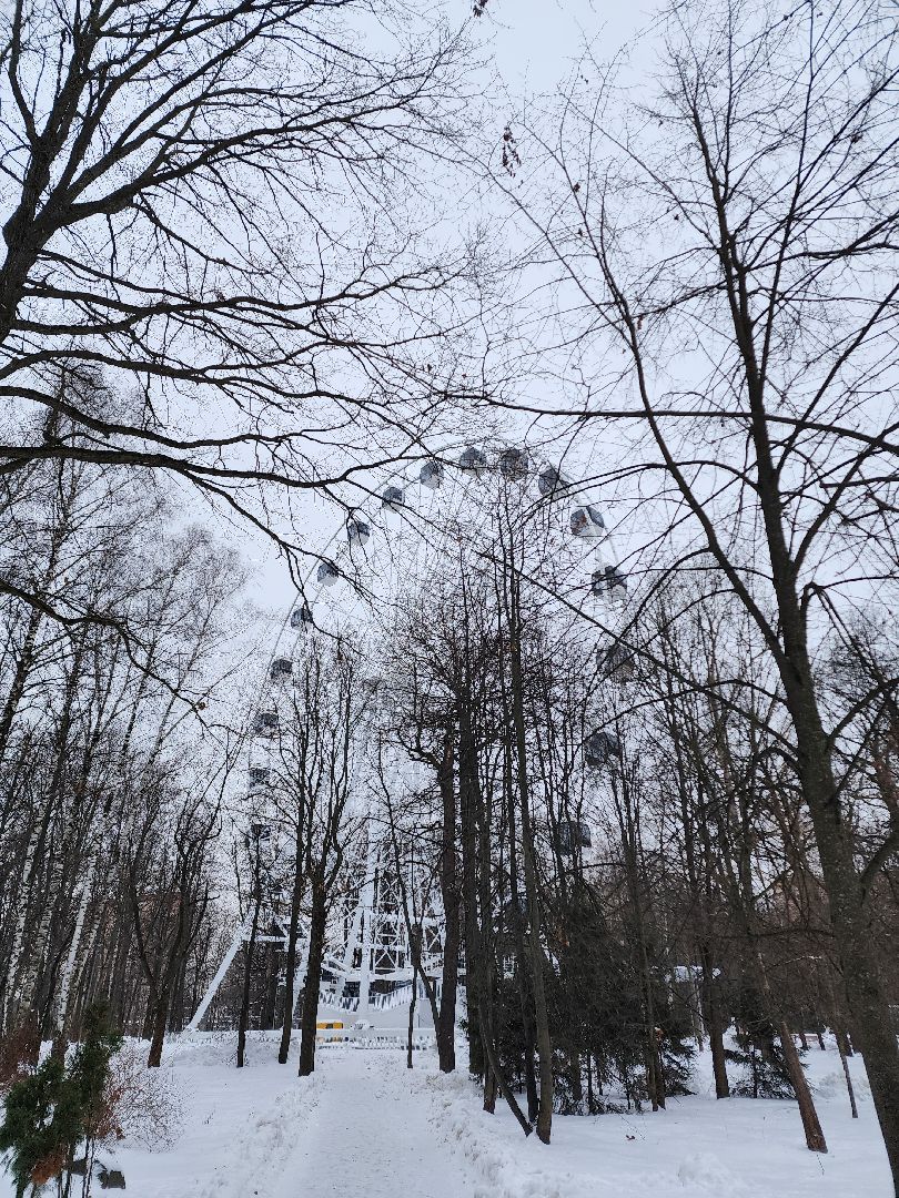 Парки, благоустройство, химки,